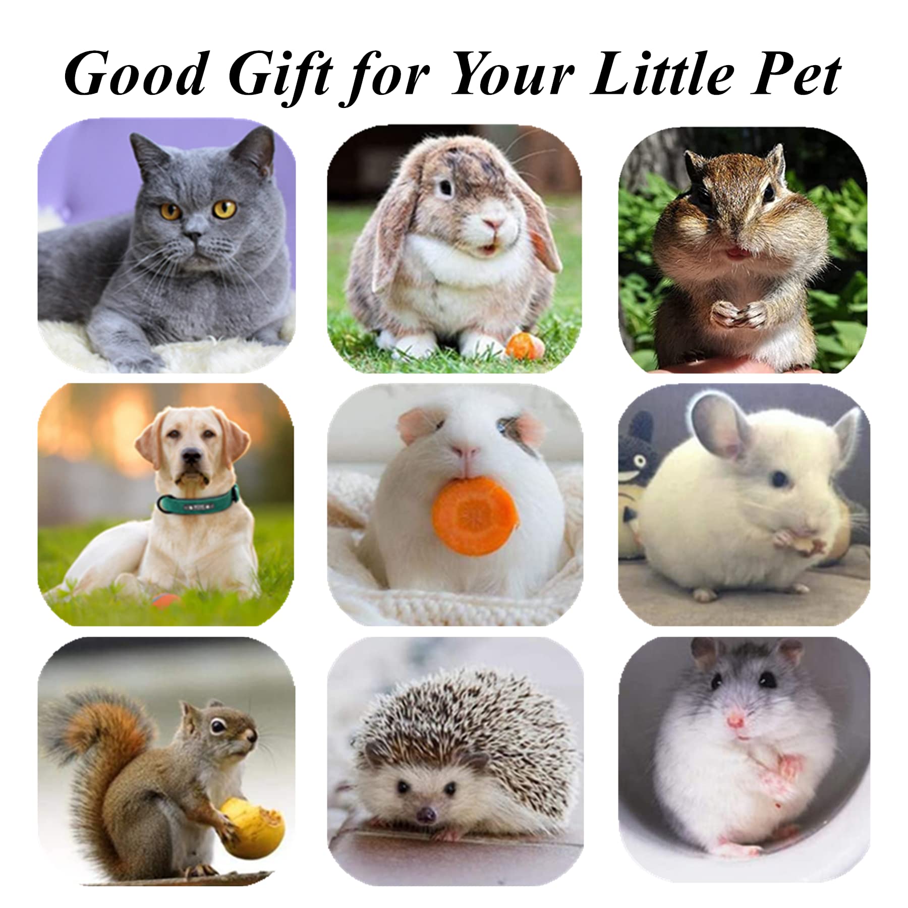 Grembeb Cat Toys,4Pack Silvervine Chew Stick,Kitten Treat Catnip Toy Kitty Natural Stuff Catnip For Cleaning Teeth Indoor Dental Snack Interactive Exercise Hamster Chinchilla Gerbil Rabbit Bunny