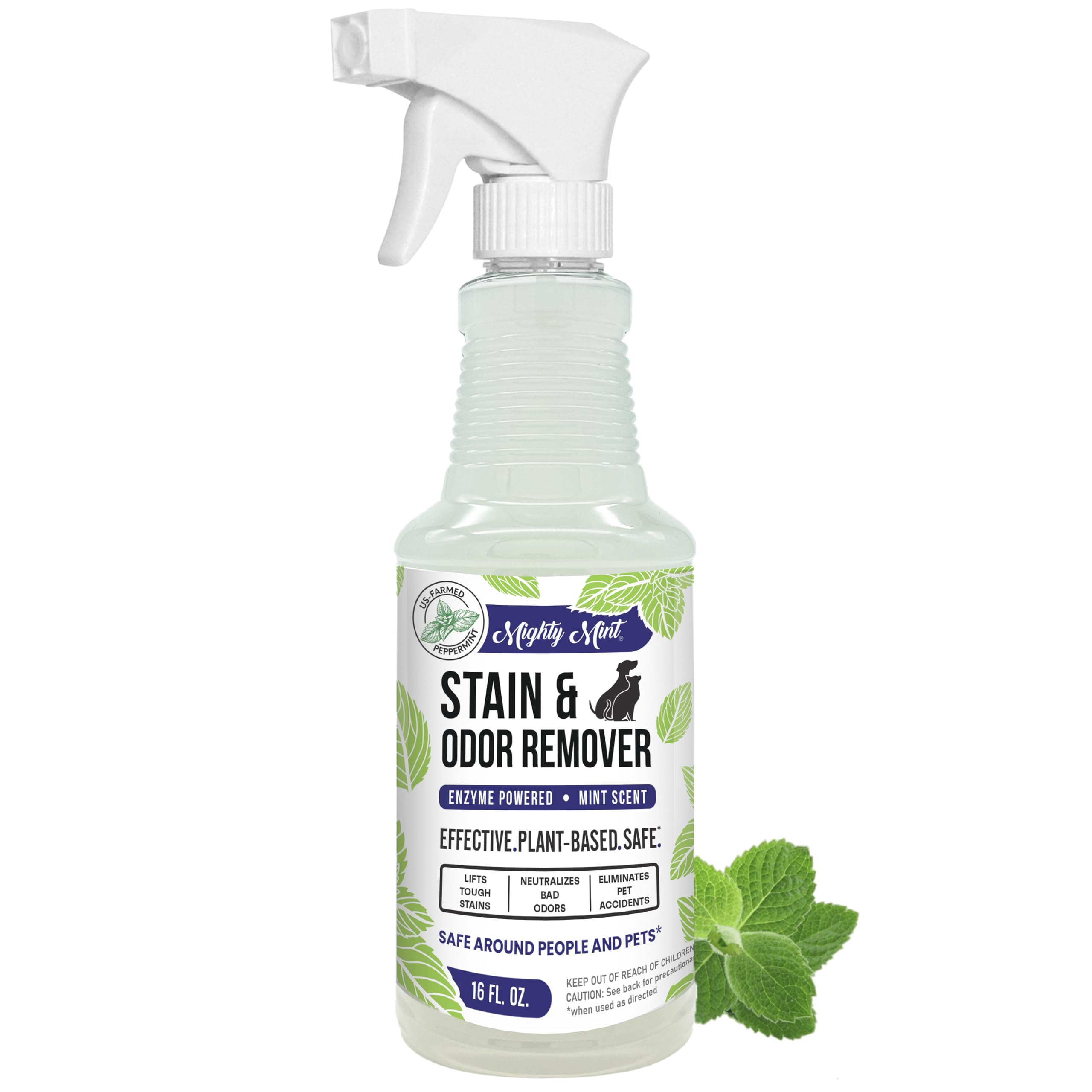 Mighty Mint Stain & Odor Remover, Natural Enzyme Spray Safely Neutralizes Odor And Stains From Dogs, Cats On Carpet, Furniture, 