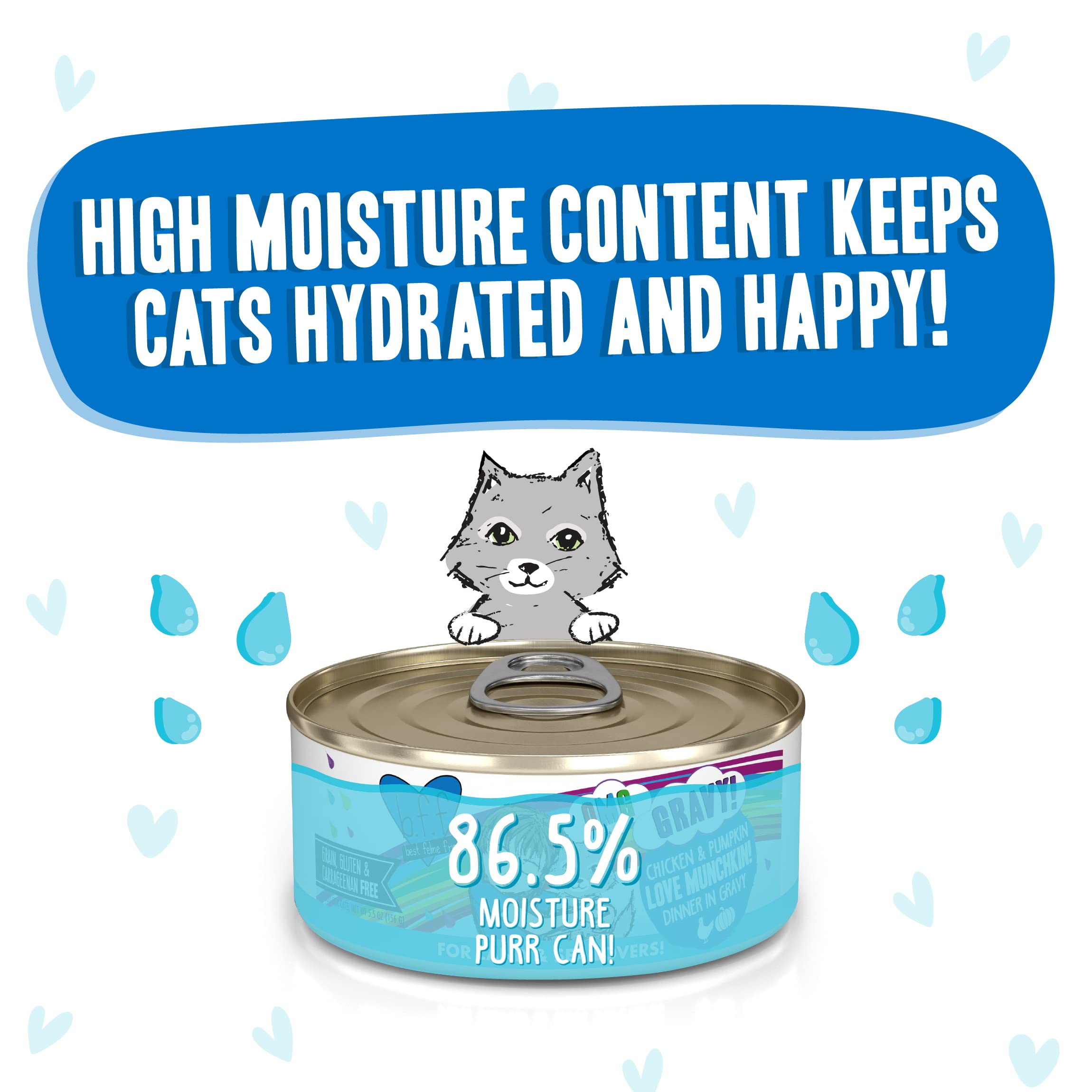 Weruva B.F.F. OMG - Best Feline Friend Oh My Gravy!, Love Munchkin! with Chicken & Pumpkin in Gravy Cat Food, 5.5oz Can (Pack of