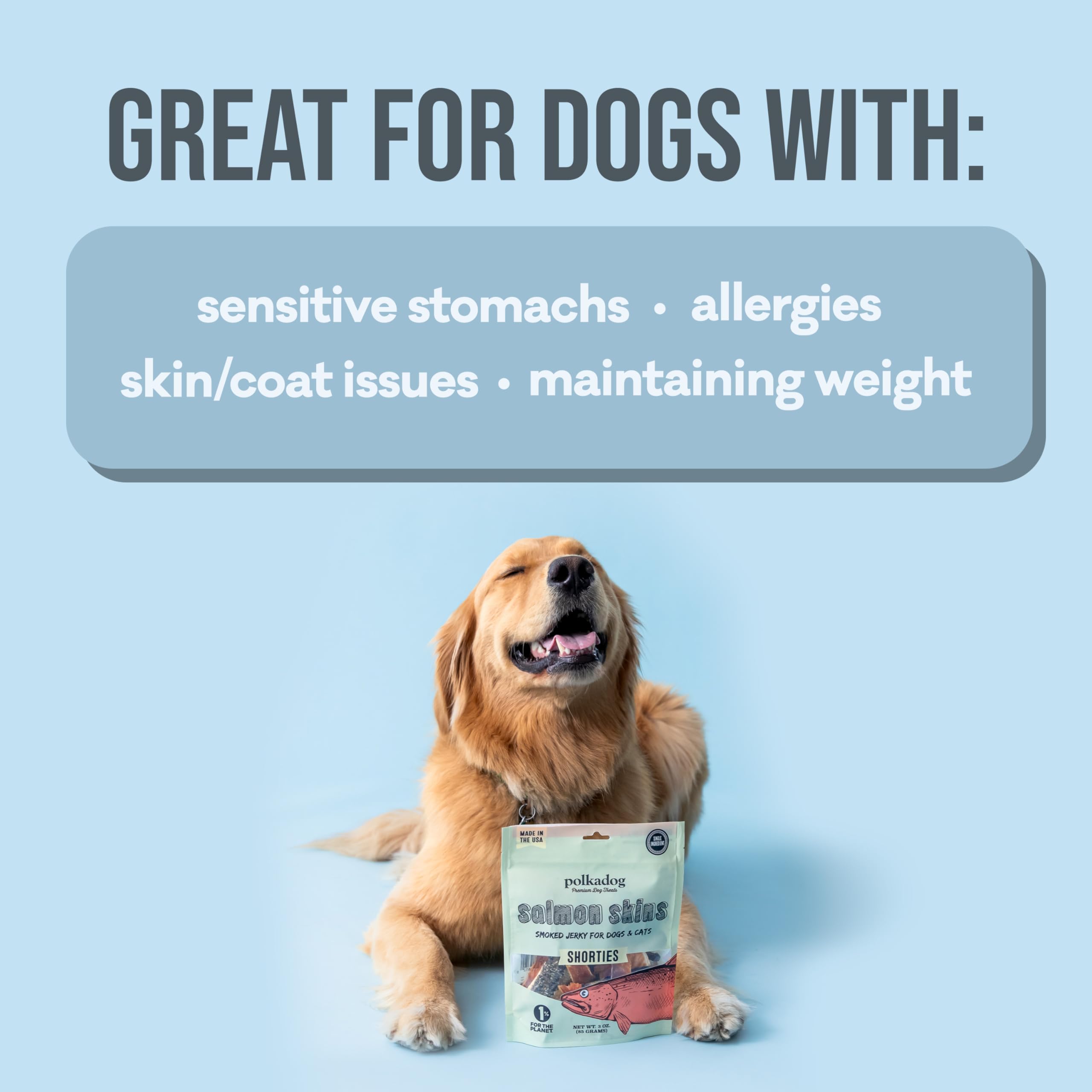 Polkadog Salmon Skins Shorties - All-Natural Dog Treats - Made in USA, Single Ingredient, Omega-3 Rich, Grain-Free & Hypoallerge