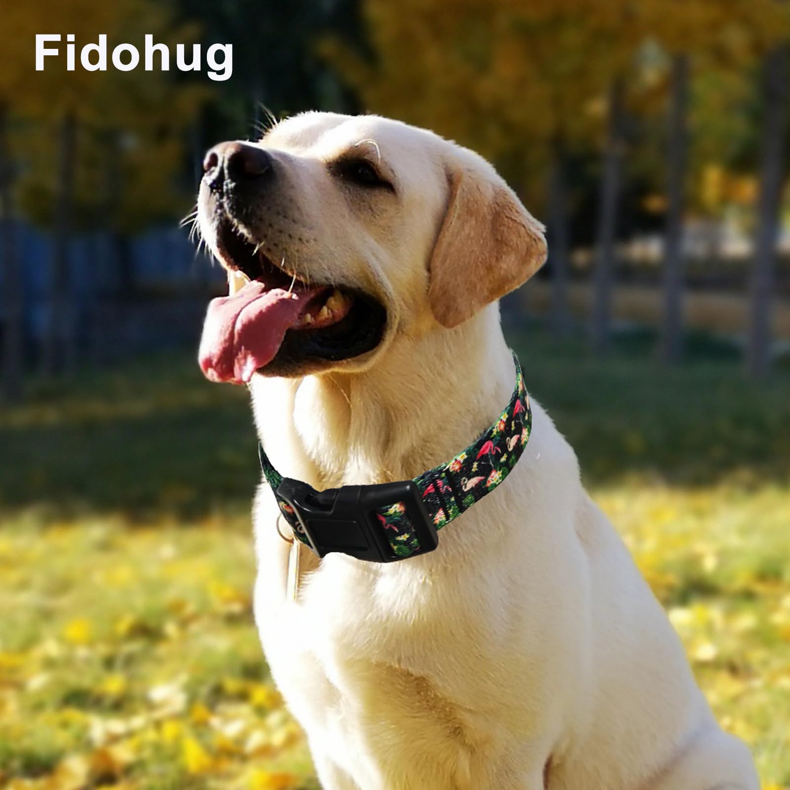 Fidohug Martingale Collar For Dogs With Buckle Adjustable Nylon Hawaiian Summer No Pull Training Dog Collars (Flamingo, Medium)