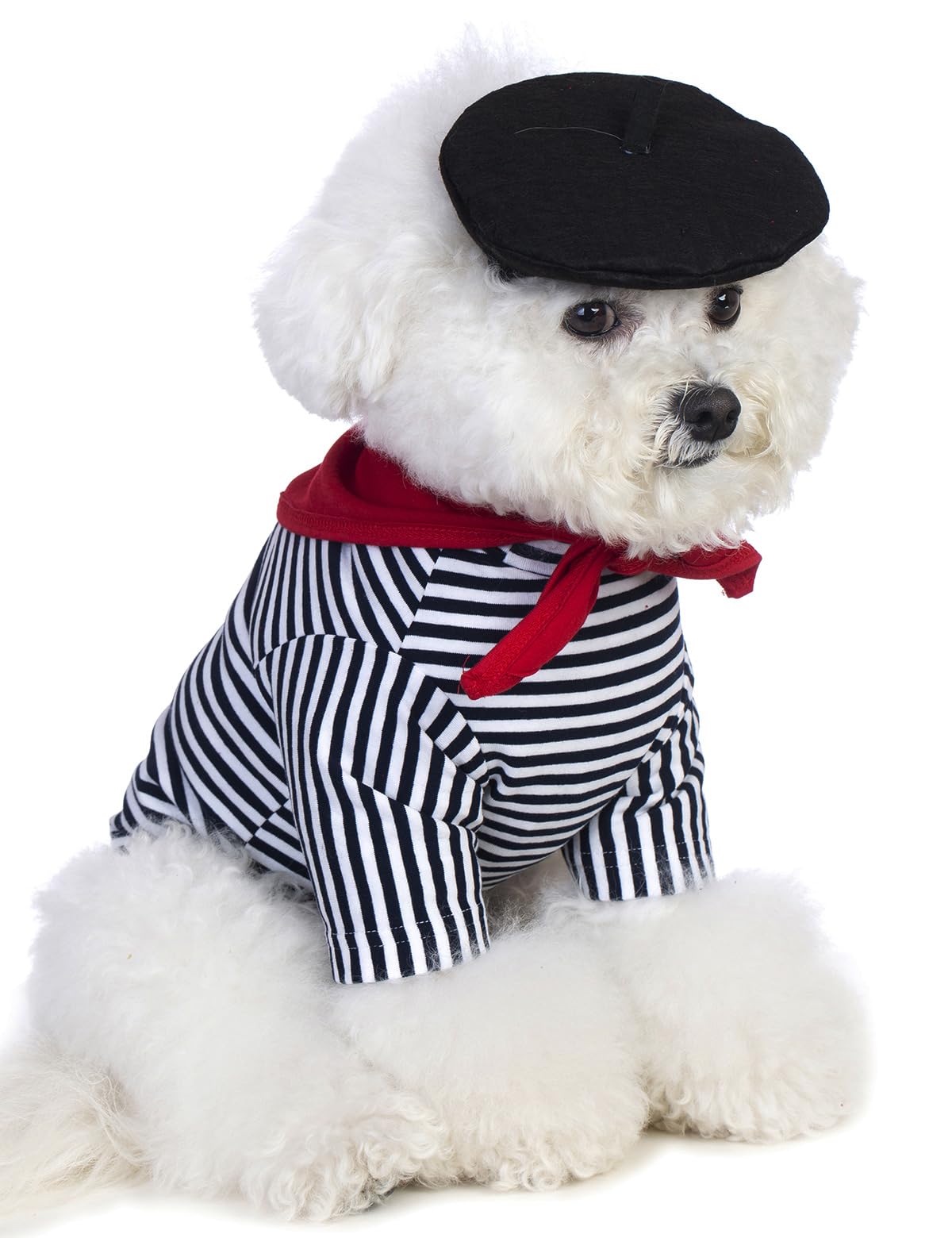 Coomour Artist Dog Costume With Funny Hat Painter Pet Clothes For Small Dog Shirts Puppy Summer T-Shirt (M) Black