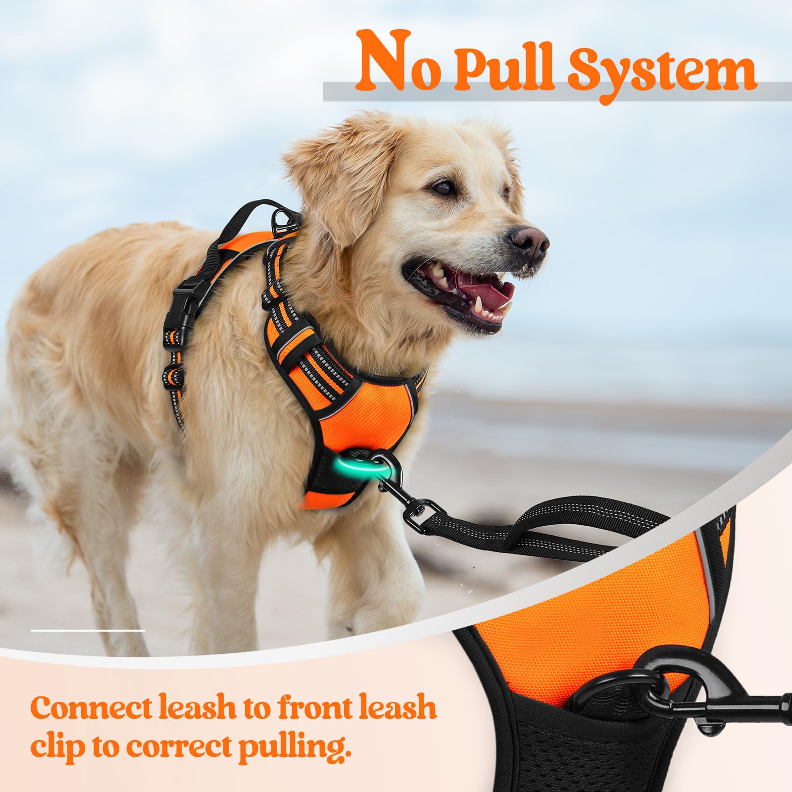 Rabbitgoo Dog Harness No Pull With 2 Leash Clips, Adjustable Soft Padded, Reflective Oxford No Choke Pet Vest With Easy Control Handle For Large Dogs,Orange,L