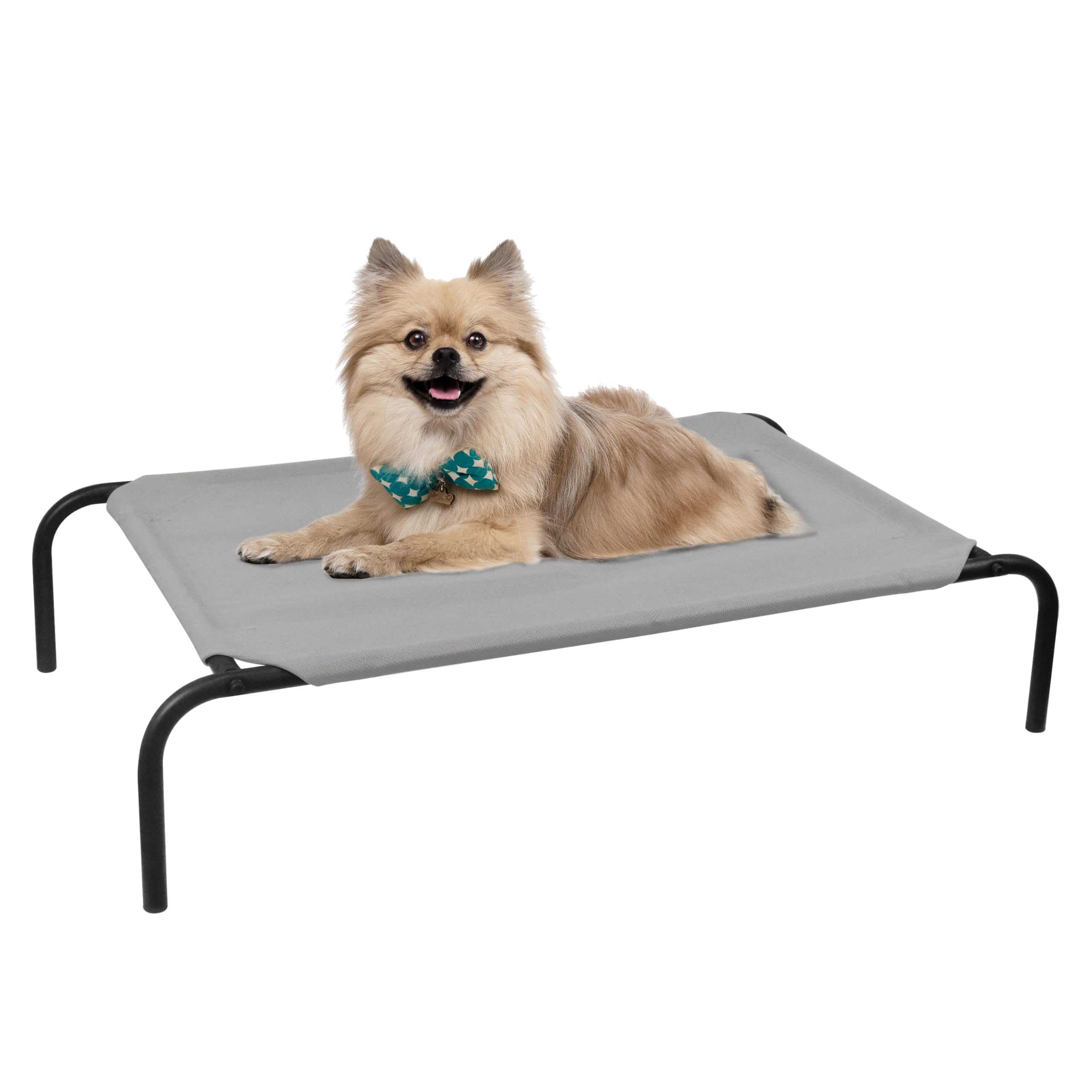 Phyex Elevated Dog Bed For Small Dogs, Raised Dog Bed With Breathable Mesh, Dog Cot Bed With Sturdy Steel Frame For Indoor & Out