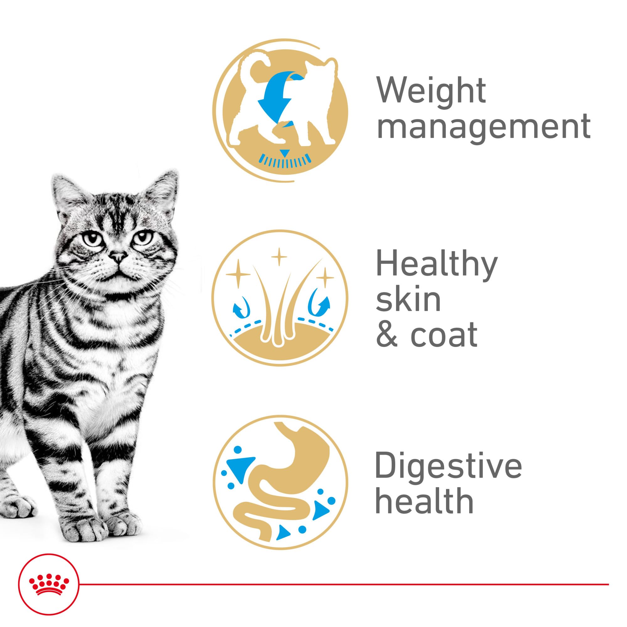 Royal Canin Feline Breed Nutrition American Shorthair Adult Dry Cat Food, 5.5 lb Bag
