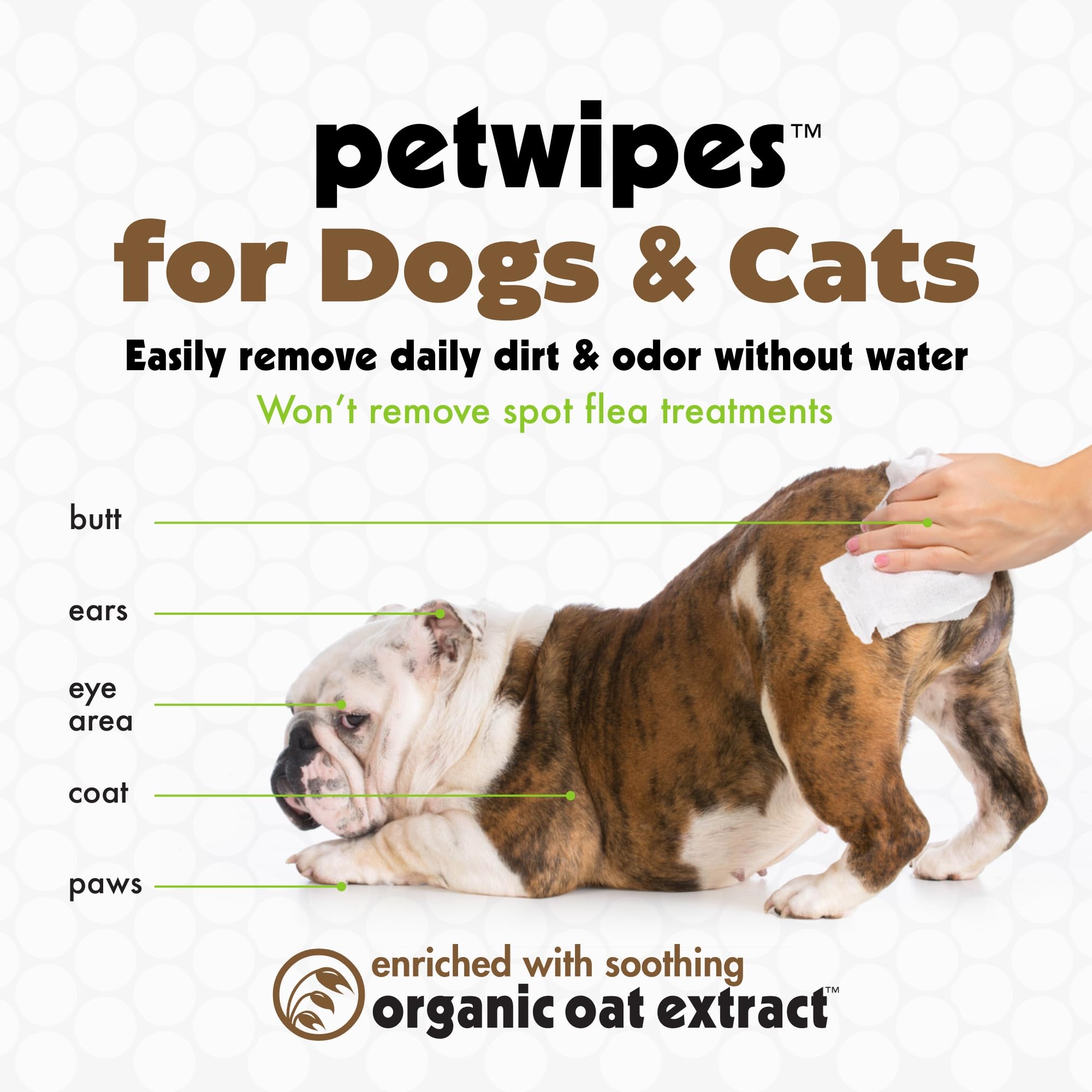 Petkin Mega Valu-Pak Pet Wipes, 500 Total Wipes - Oatmeal Pet Wipes For Dogs And Cats - For Face, Paws, Ears, And Body - Super C