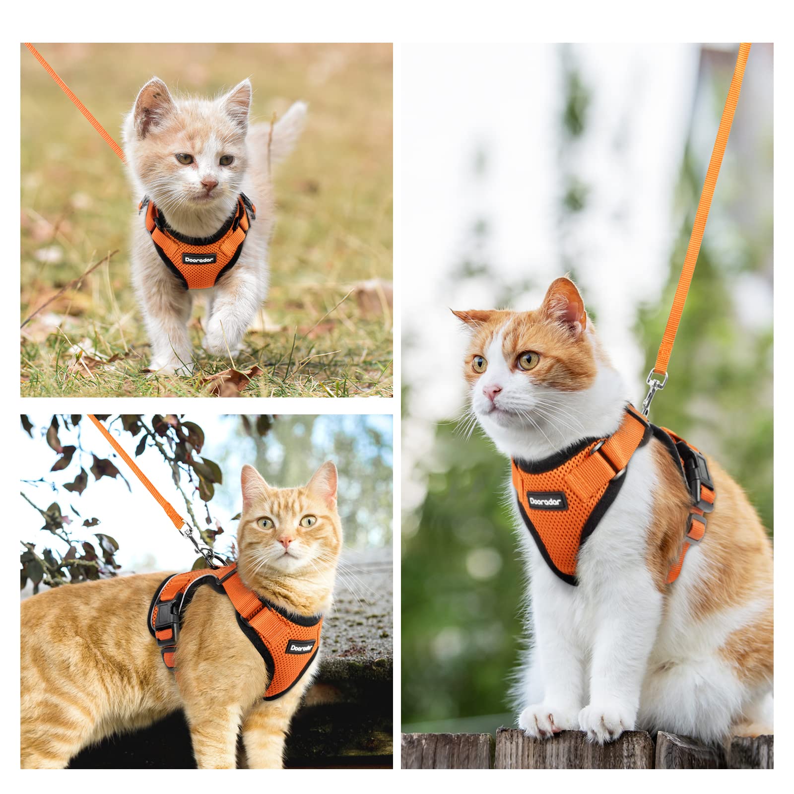 Dooradar Cat Harness And Leash Set, Escape Proof Safe Adjustable Kitten Vest Harnesses For Walking, Easy Control Soft Breathable Mesh Jacket With Reflective Strips For Cats, Orange, S
