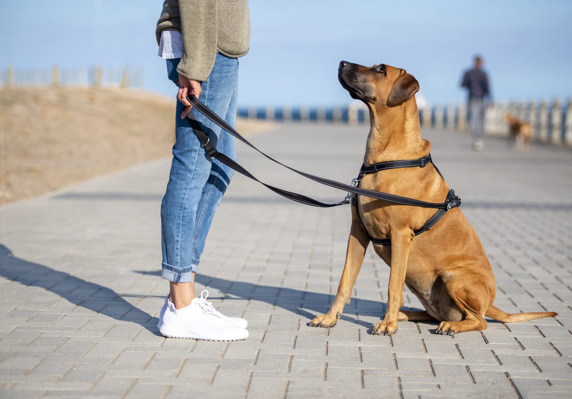 Control Multi-Leash Small - Black