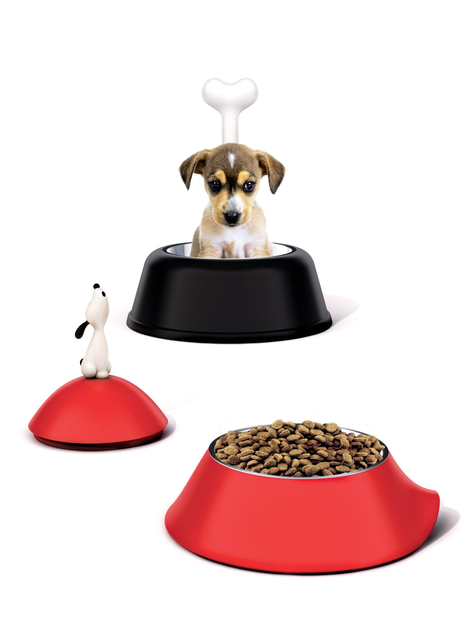 Alessi Ammi02 B Lupita Dog Bowl, Black