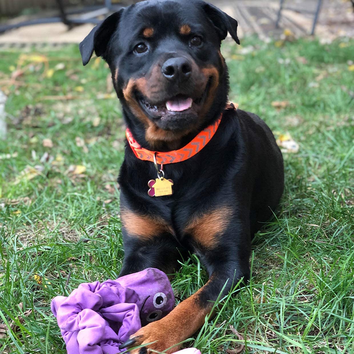 Smartpetlove Snuggle Puppy Tender-Tuffs Tug - Extra Large Stretchy Purple Octopus Tough Dog Toy - Great For Fetch And Durable For Tug Of War