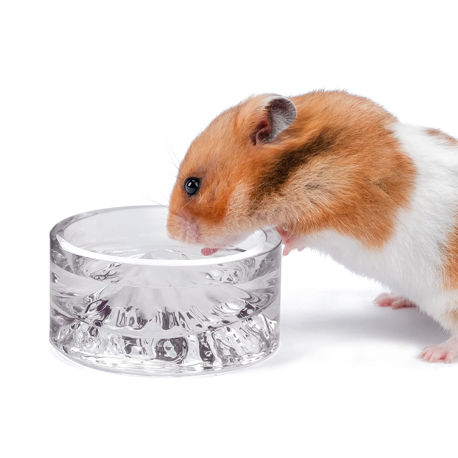 Niteangel Hamster Feeding & Water Bowls- Mount Fuji Series Glass Drinking Bowls for Dwarf Syrian Hamsters Gerbils Mice Rats or O
