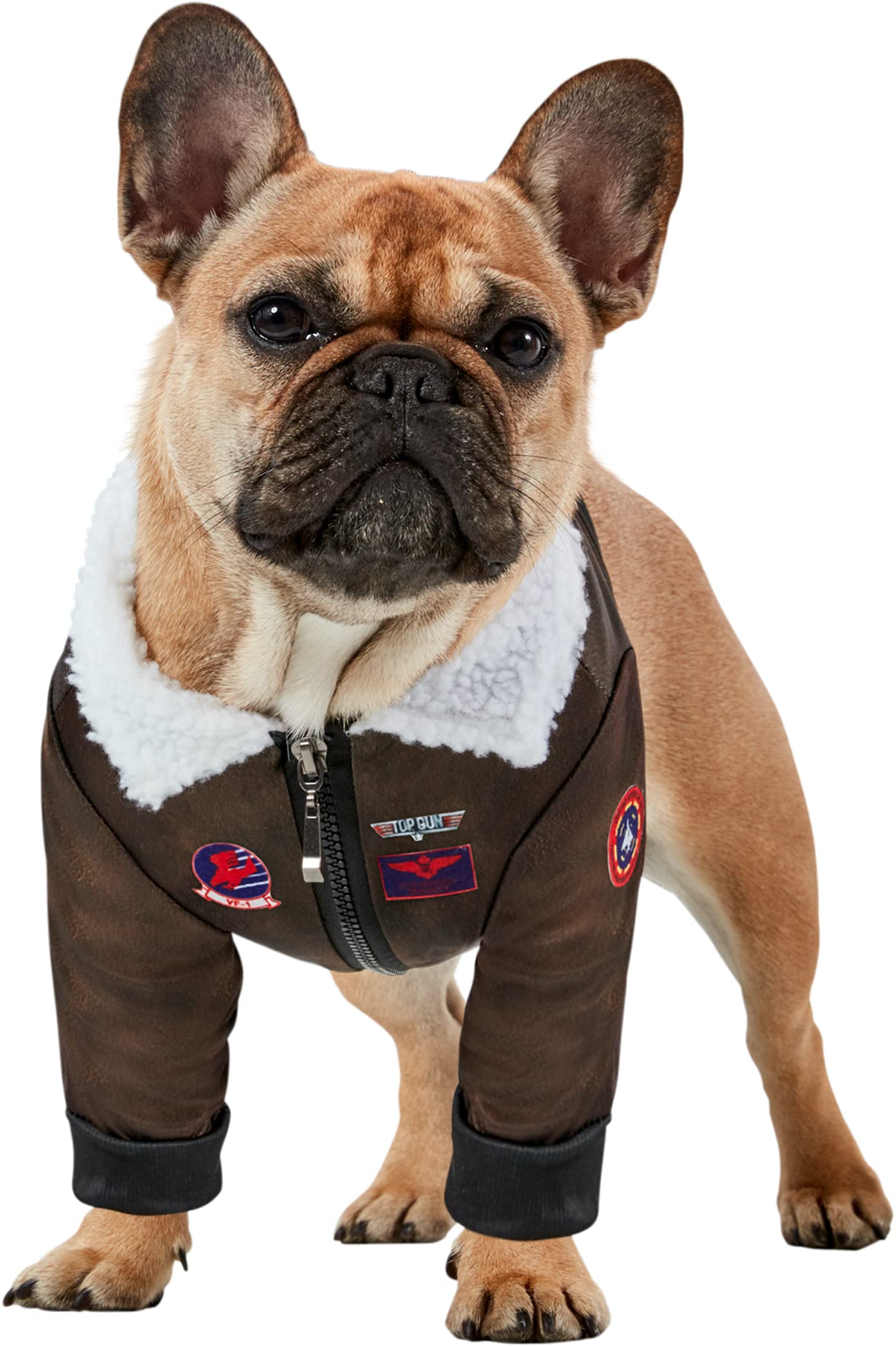 Rubies Top Gun Classic Movie Pet Costume, X-Small For Themed Parties And Halloween