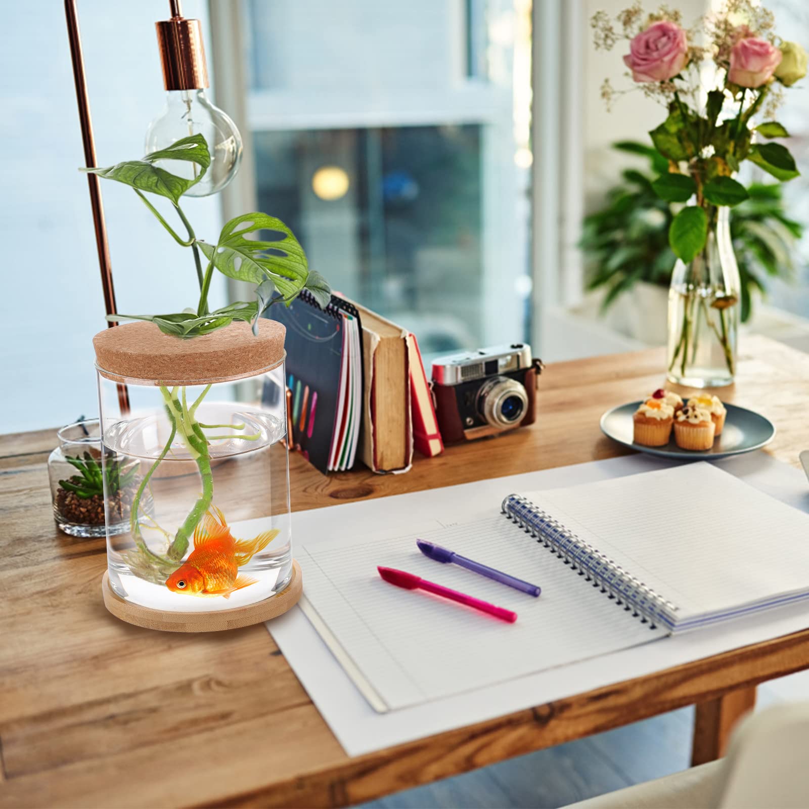 Desktop Fish Bowl Glass- Small Betta Fish Tank With Lid, Clear Hydroponic Plant Propagation Station For Home Office, Plant Lover