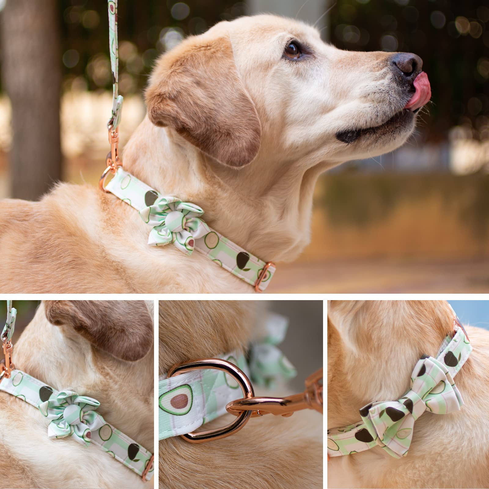 Dog Collar And Leash Set With Flower Bow Tie Girls Dog Collar Dog Tag Metal Buckle Adjustable For Small Medium Large Dogs Green Flower-L
