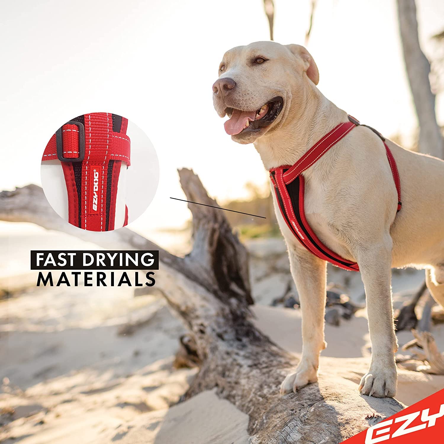 Ezydog Premium Chest Plate Custom Fit Reflective No-Pull Padded Comfort Dog Harness - Perfect For Training, Walking, And Control - Includes Car Restraint Attachment (Large, Orange)