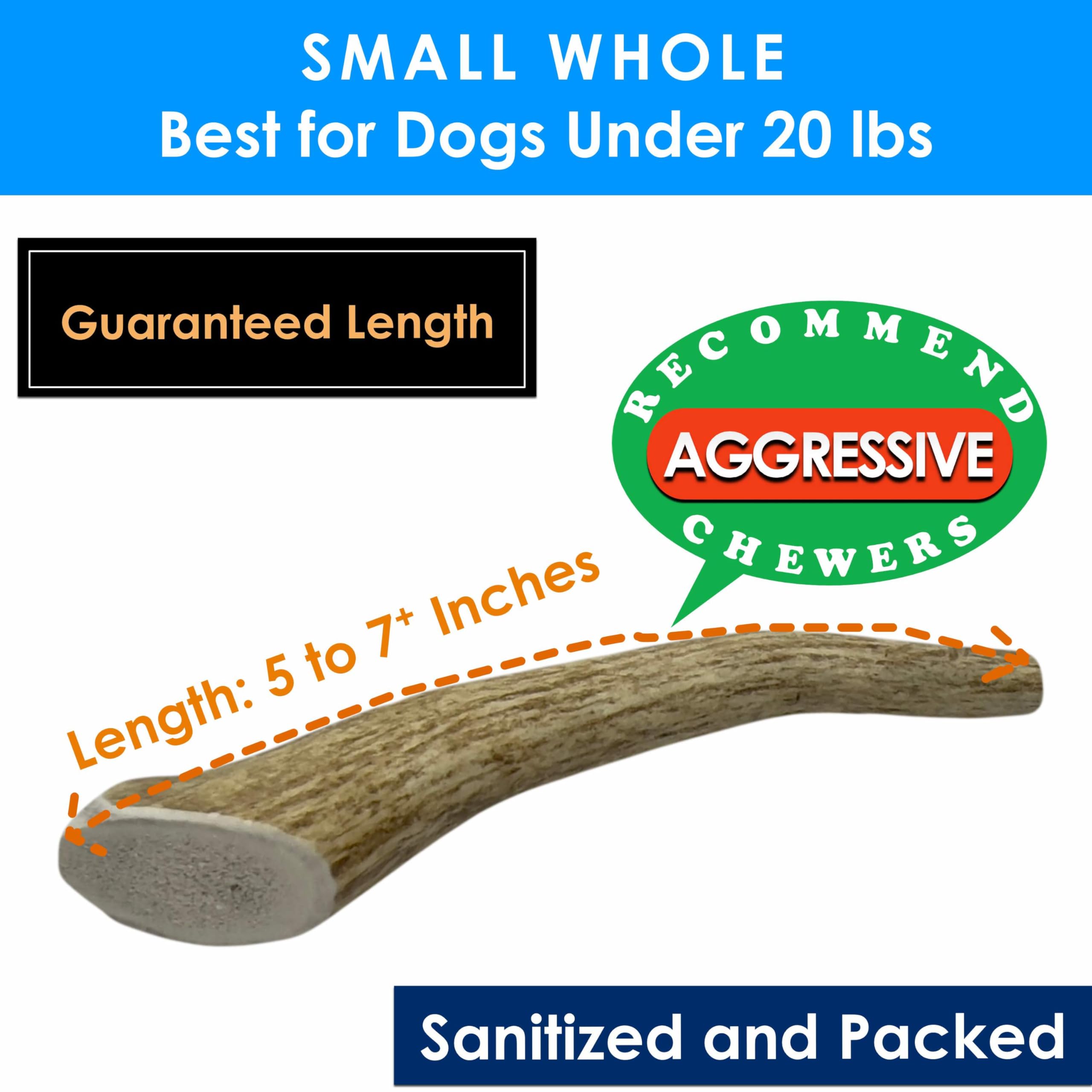 Deluxe Naturals 6-Pack Small Whole Elk Antler Dog Chews (5 to 7+ in) - Long Lasting Natural Dog Chew Bones for Small Dogs Under