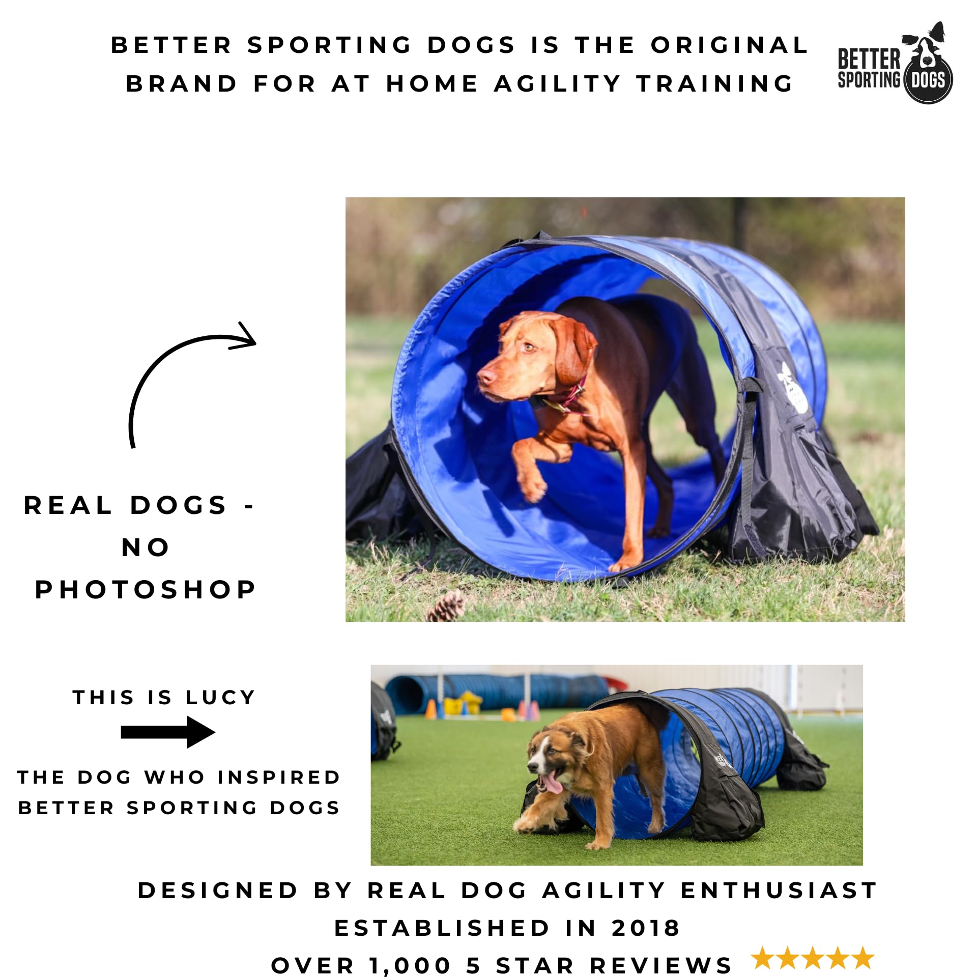 Better Sporting Dogs 10 Foot Dog Agility Tunnel With Sandbags | Dog Agility Equipment | Dog Agility Training