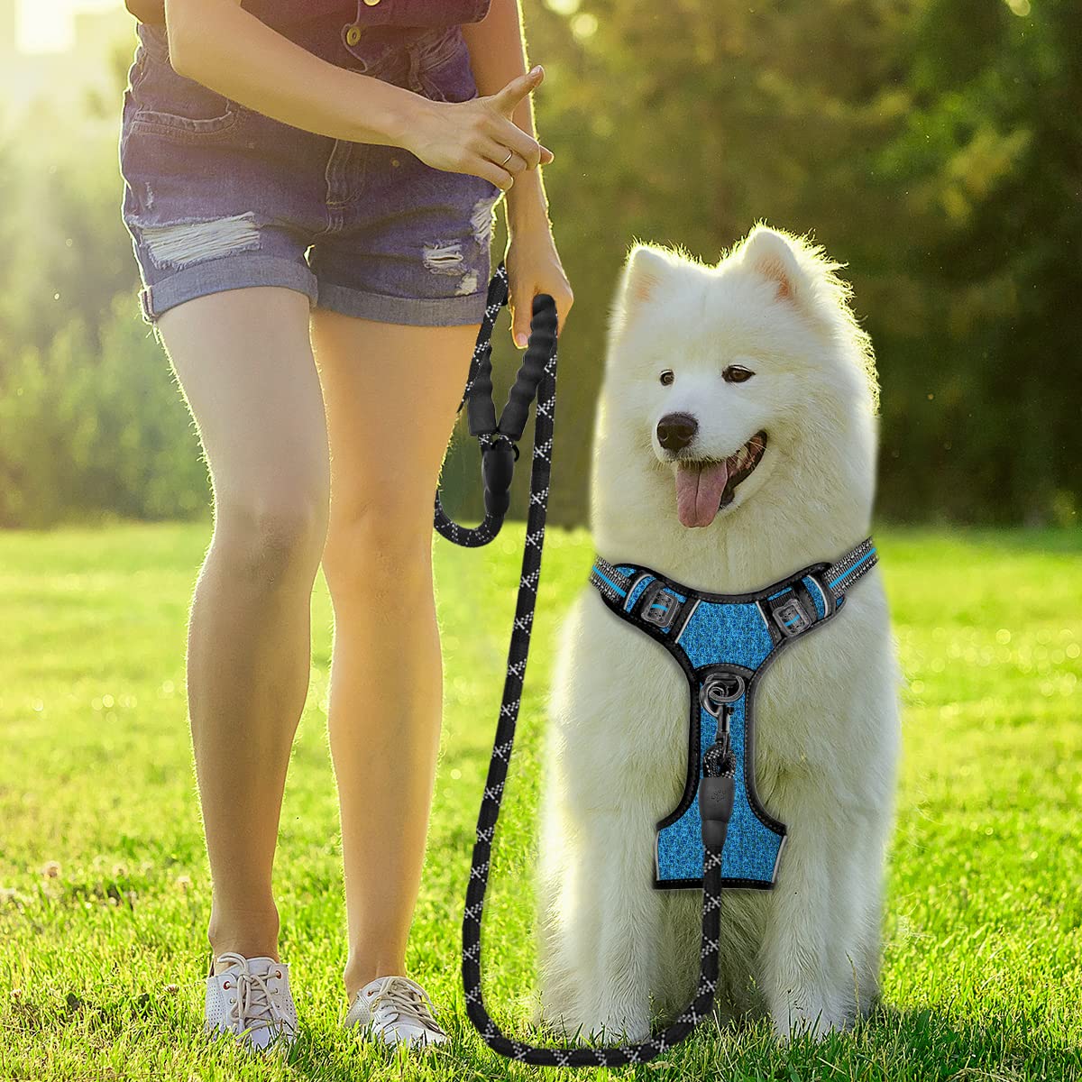 BARKBAY No Pull Dog Harness Front Clip Heavy Duty Reflective Easy Control Handle for Large Dog Walking with ID tag Pocket(Blue/B