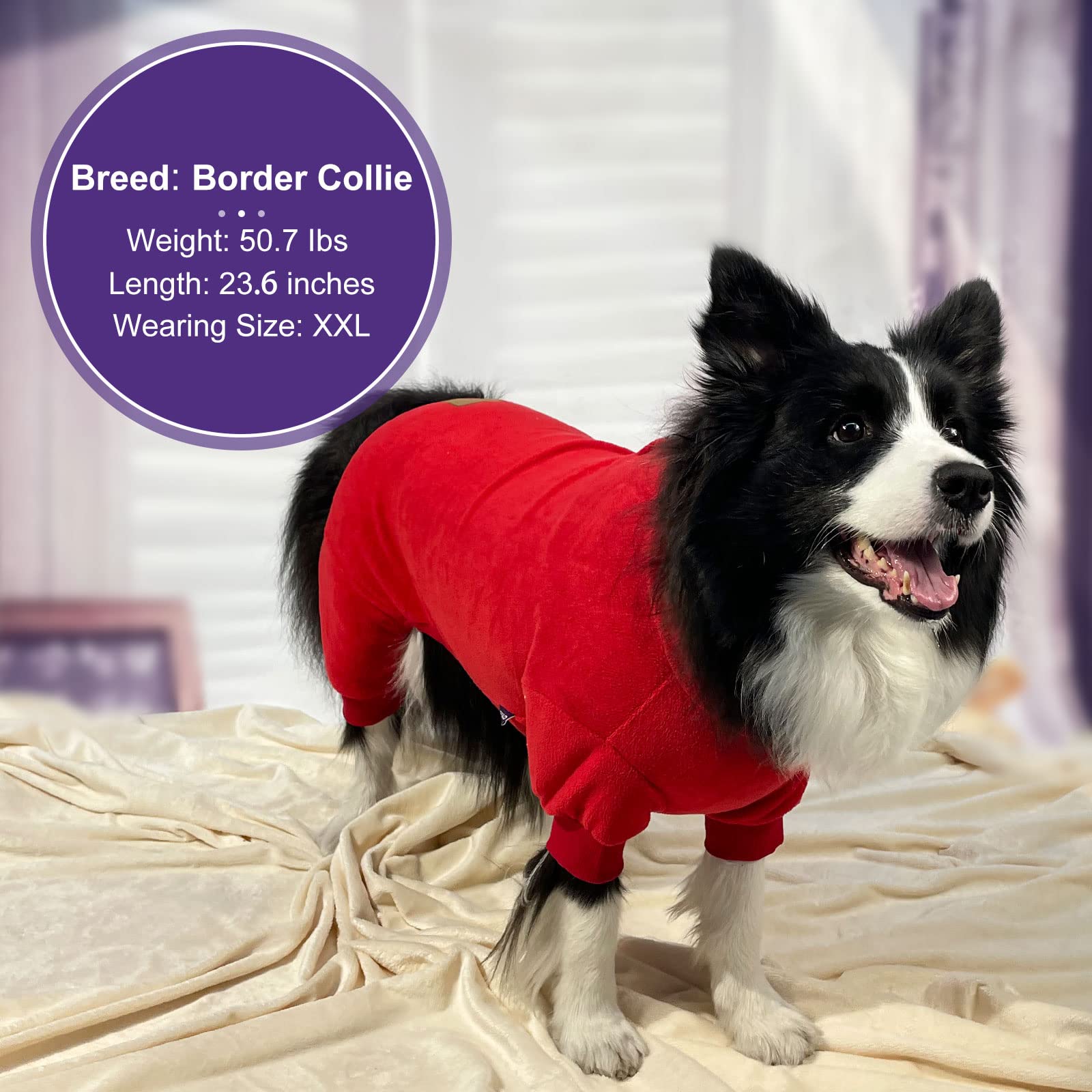 Cyeollo Dog Pajamas Turtleneck Thermal Dog Pjs Fleece Stretchy Jumpsuits Dog Winter Warm Clothes Medium Dog Pajamas For Cold Weather Color Red