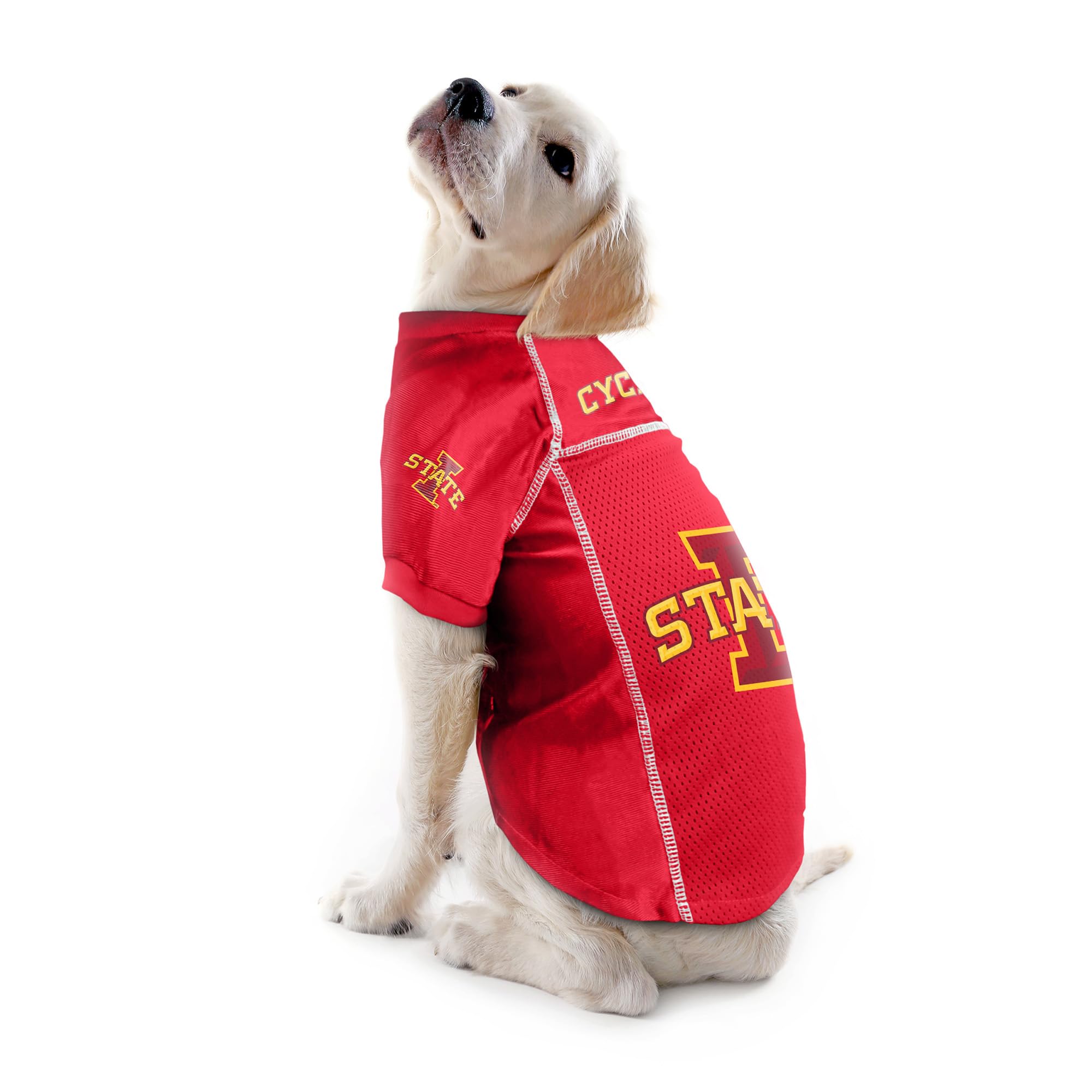 Littlearth Unisex-Adult Ncaa Iowa State Cyclones Basic Pet Jersey, Team Color, Large
