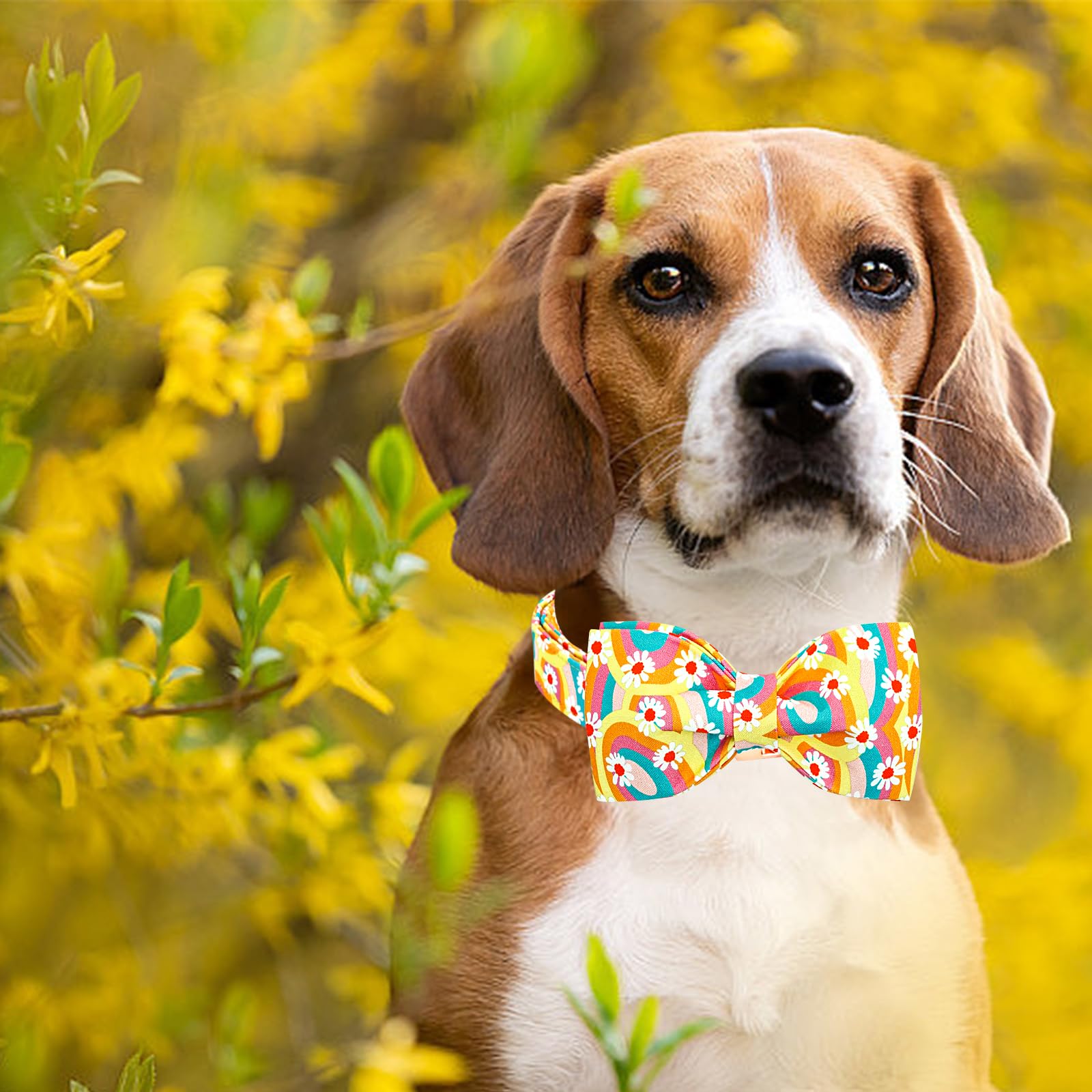 Lionheart glory Dog Collar, Sunflower Pattern Dog Bow Collar Boy Girl Dog Collars with Bows Adjustable Durable Collar for Medium
