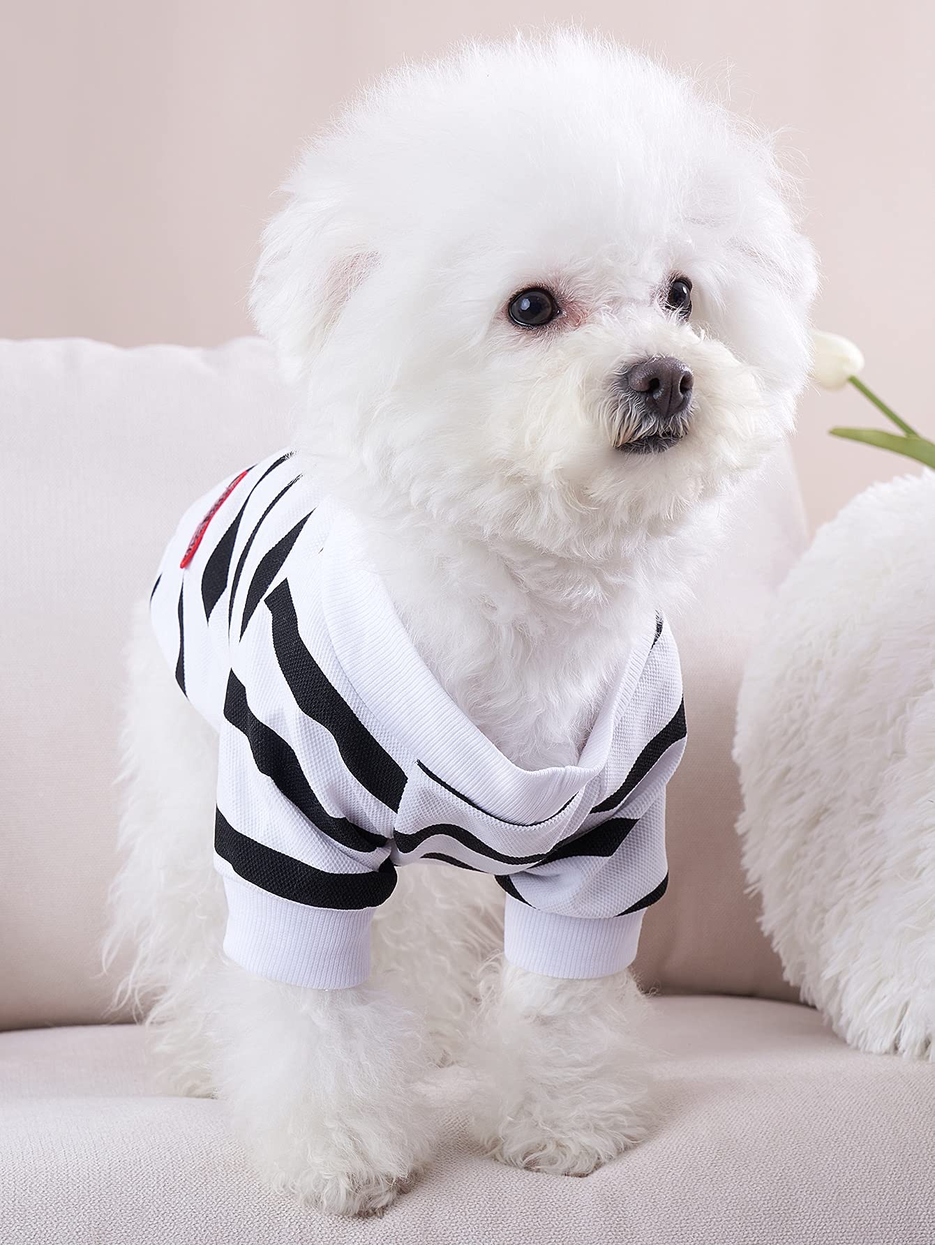 Dog Shirt For Small Dogs Tee Shirts For Dogs Boston Terriers Clothes For Dog Pet Tshirts Striped Tee Shirt, Small, White