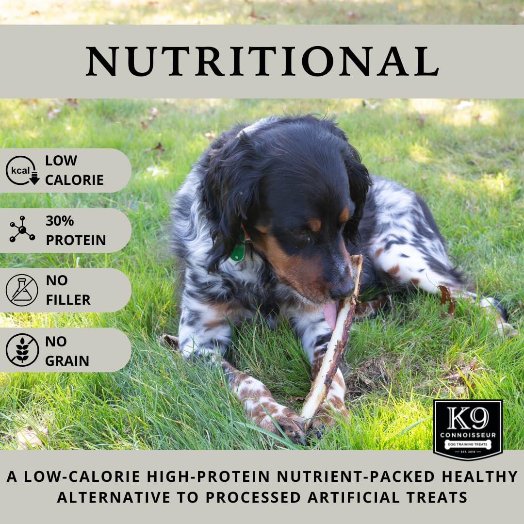 K9 Connoisseur Beef Marrow Rib Dog Bones Long Lasting 8 to 10 Inch Long - USA Made Single Ingredient for Medium Dogs Upto 50 Pou