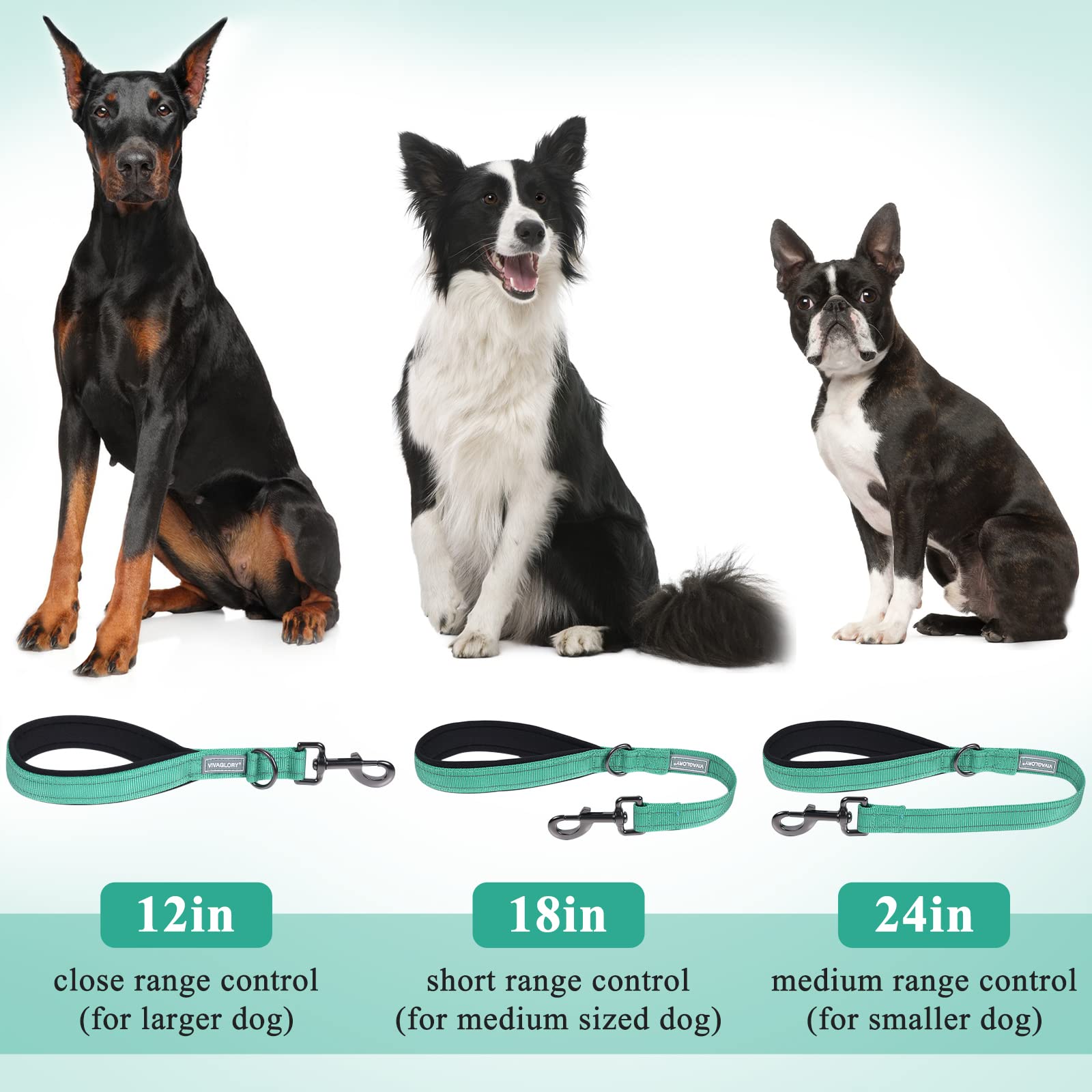 Vivaglory Short Dog Leash For Medium & Large Dogs, 18Inch, Green