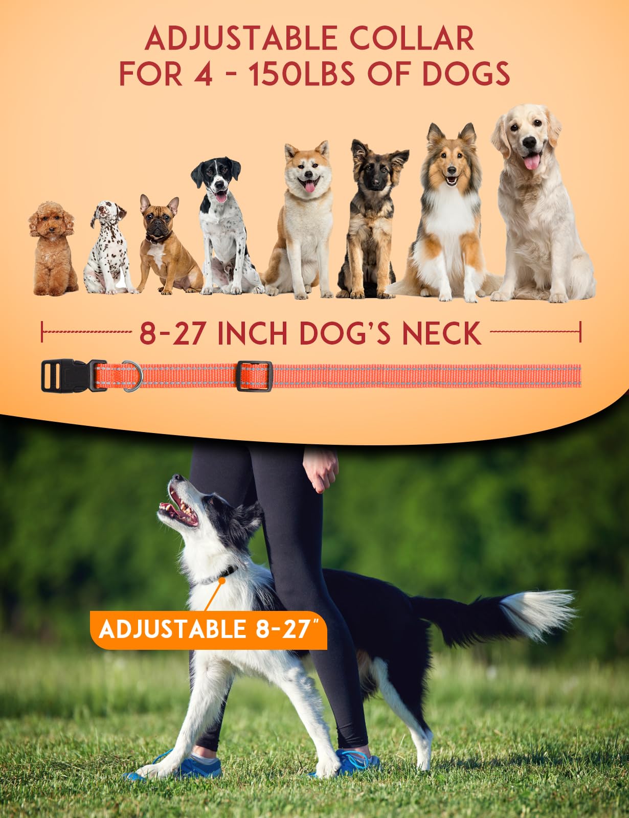 PaiPaitek 3/4 Inch Adjustable Dog Collar, E-Collar Replacement Strap Fit All Brands of Shock Training Collars and Bark Collars -