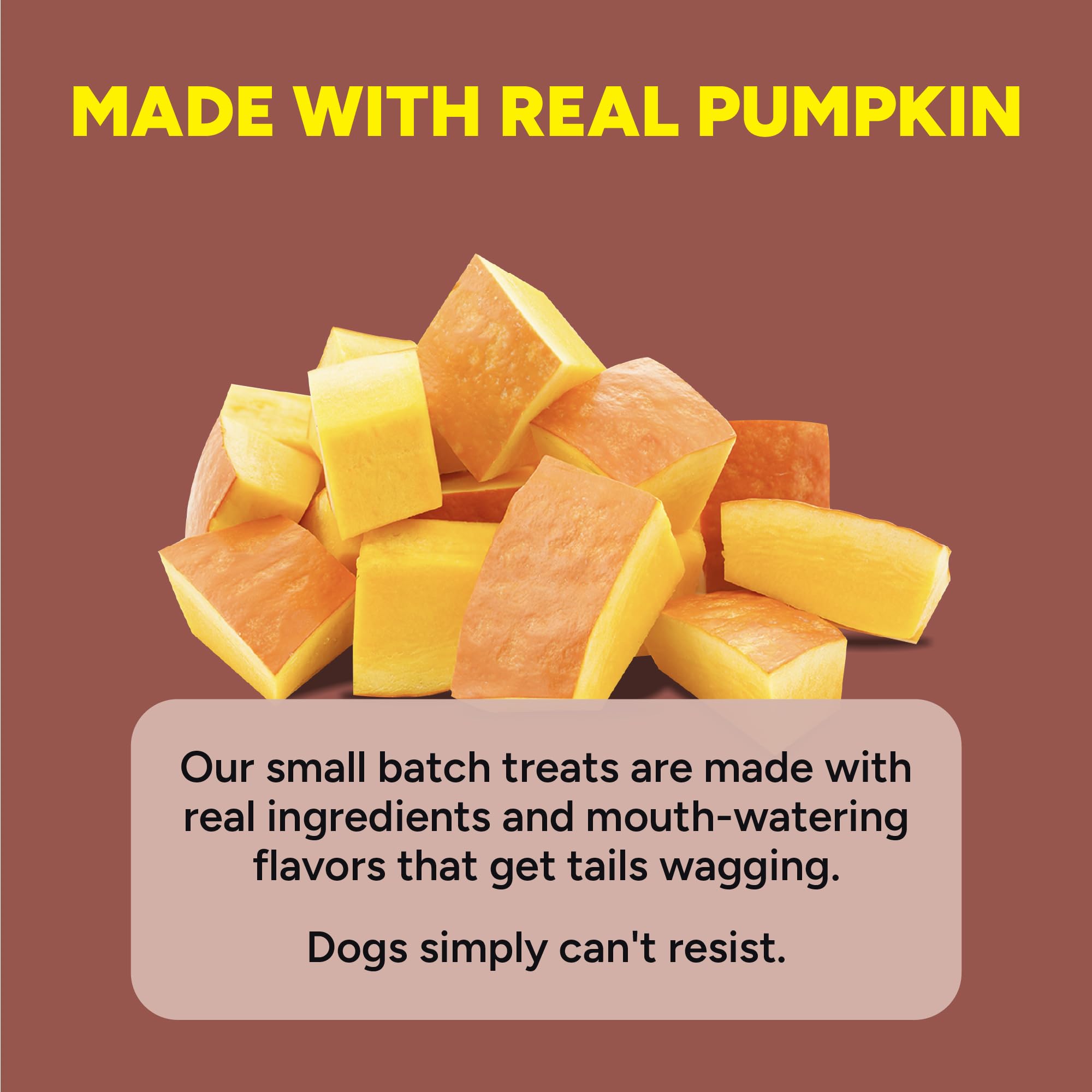 Cloud Star Dynamo Dog Tummy Treats - Soft & Chewy Probiotics Support for Dogs (14 oz. Pumpkin and Ginger) (20212)