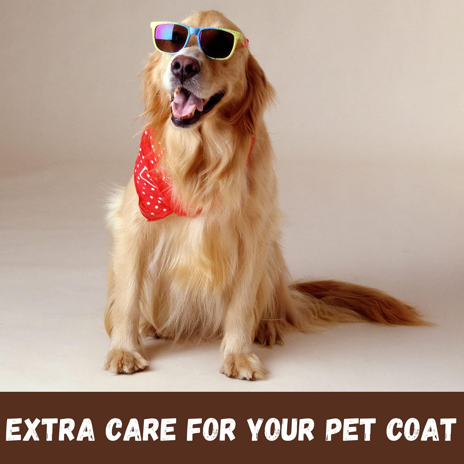 Bio-Groom Groom'N Fresh Dog Shampoo – Odor Eliminating, Dog Bathing Supplies, Puppy Wash, Cat & Dog Grooming Supplies, Cruelty-Free, Made In Usa, Dog Products – 1 Gallon