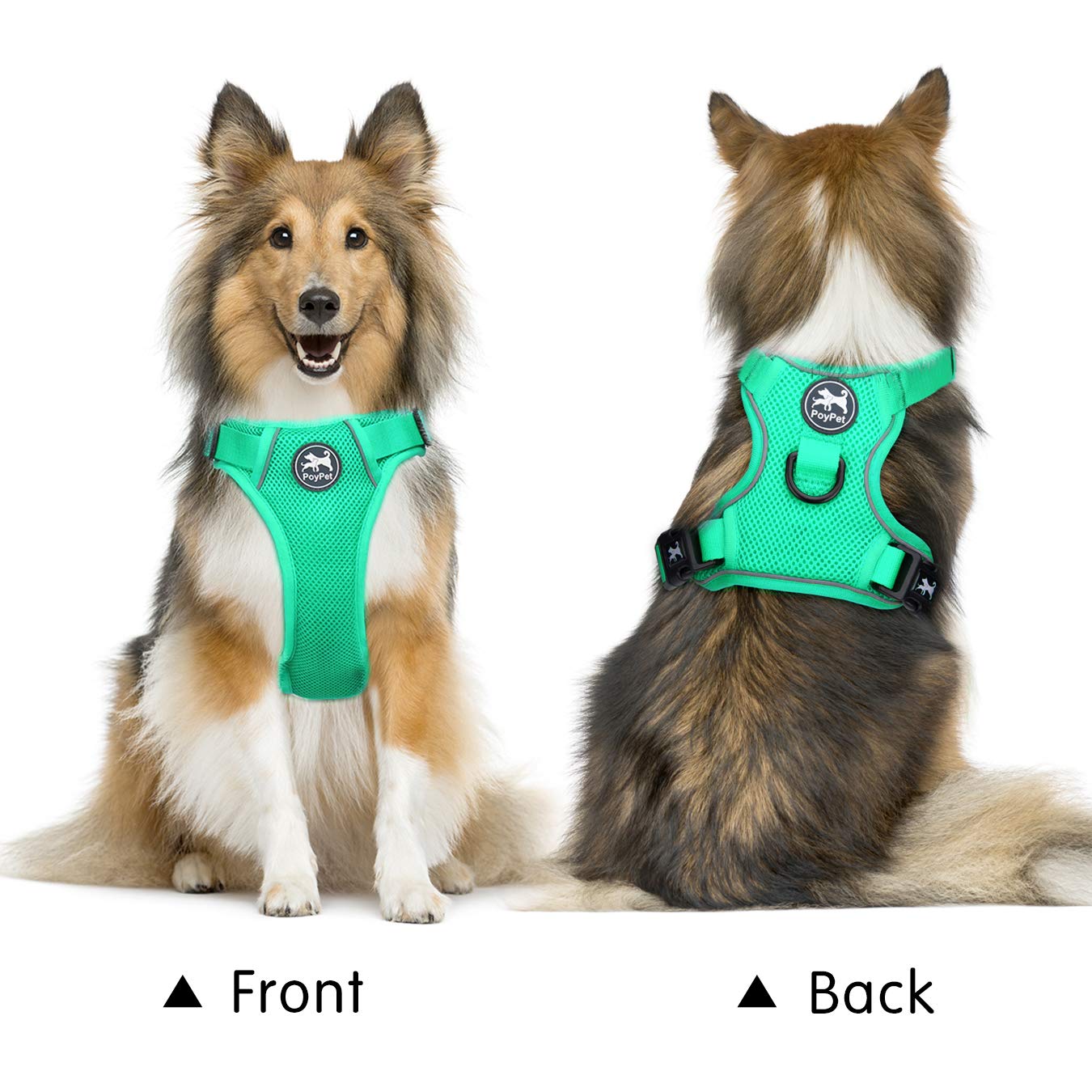 Poypet Reflective Soft Breathable Mesh Dog Harness Choke-Free Double Padded Vest With Adjustable Neck And Chest(Mint Green,Xl)