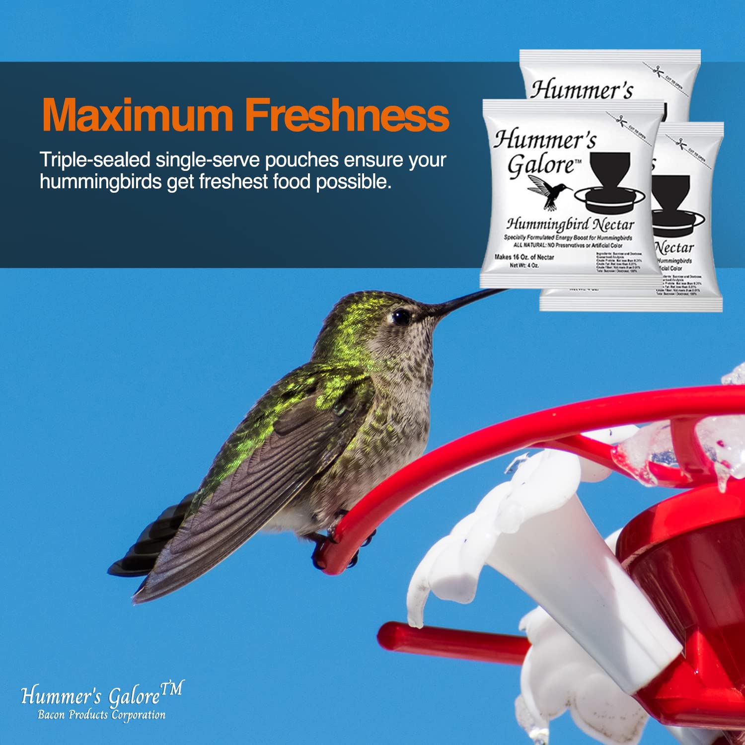 Hummers Galore Hummingbird Food - Ready-to-Mix Hummingbird Nectar, All-Natural Nectar Collector Formula, No Preservatives or Dy