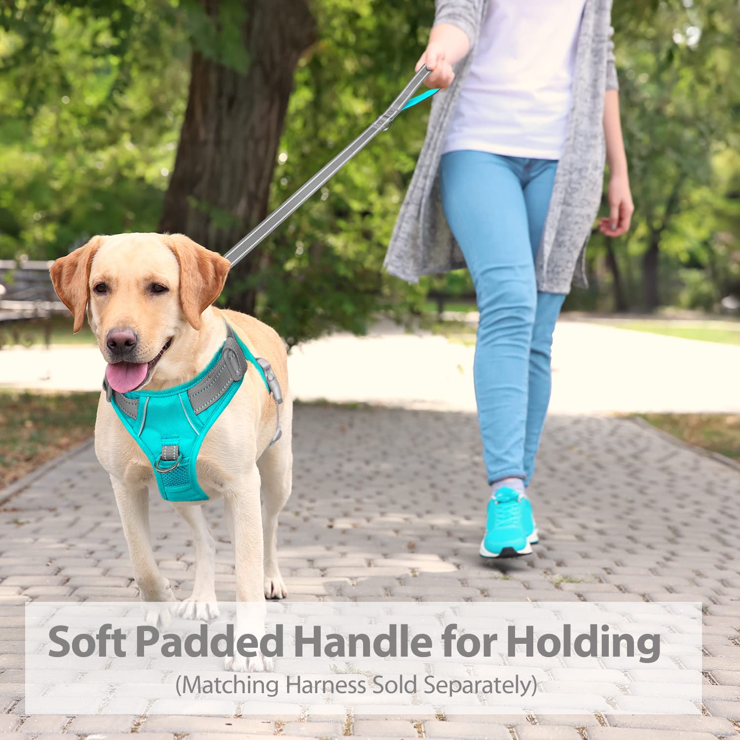 PHOEPET 5ft Dog Leash - Dual-Side Reflective, Soft Padded Handle, Grey & Mint Green - Ideal for Walking, Training, Hiking, Camping