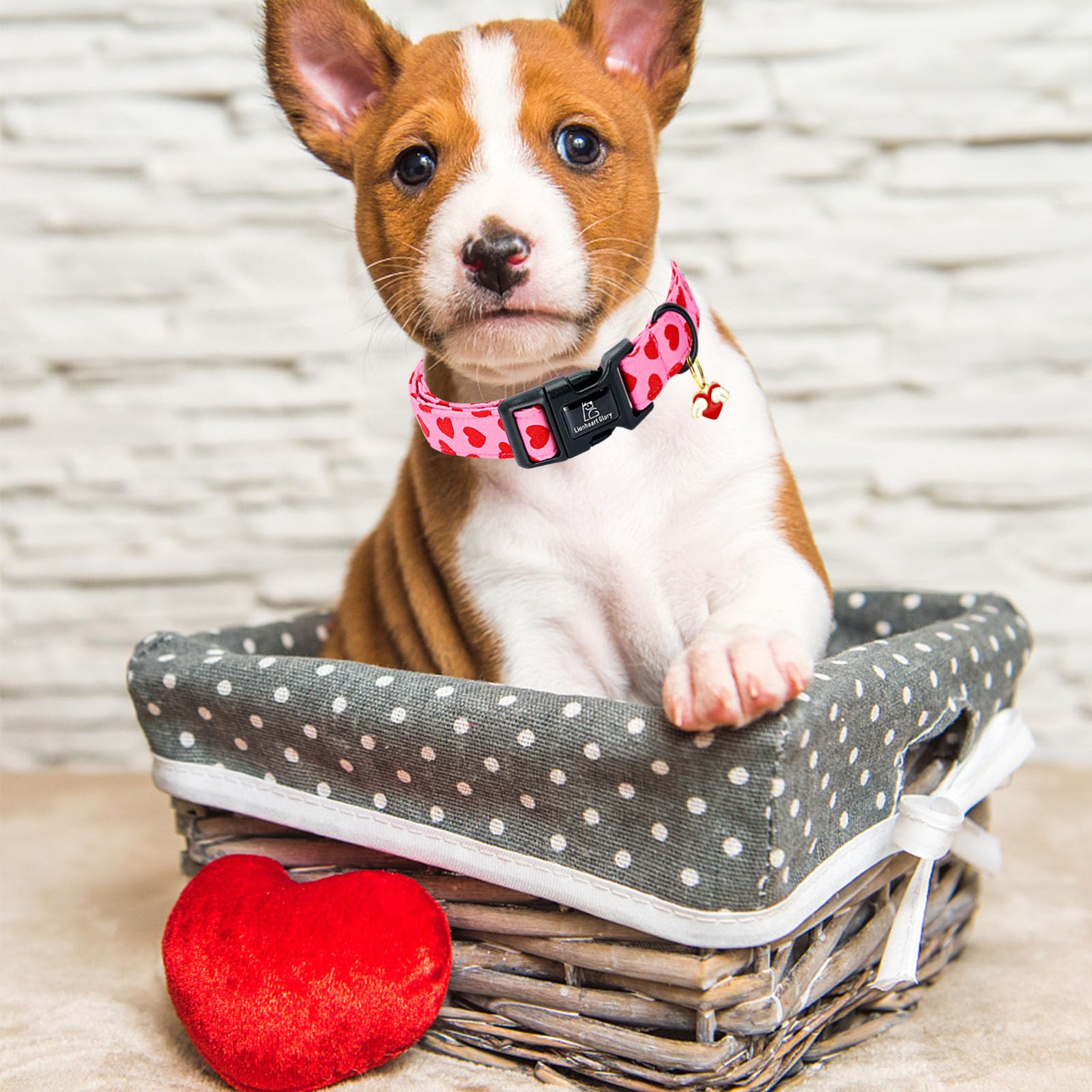 Lionheart Glory Valentine Collar-Red Hearts Dog Collar For Small Cute Pink Dog Collars Spring Female Male Pet Gift Adjustable He