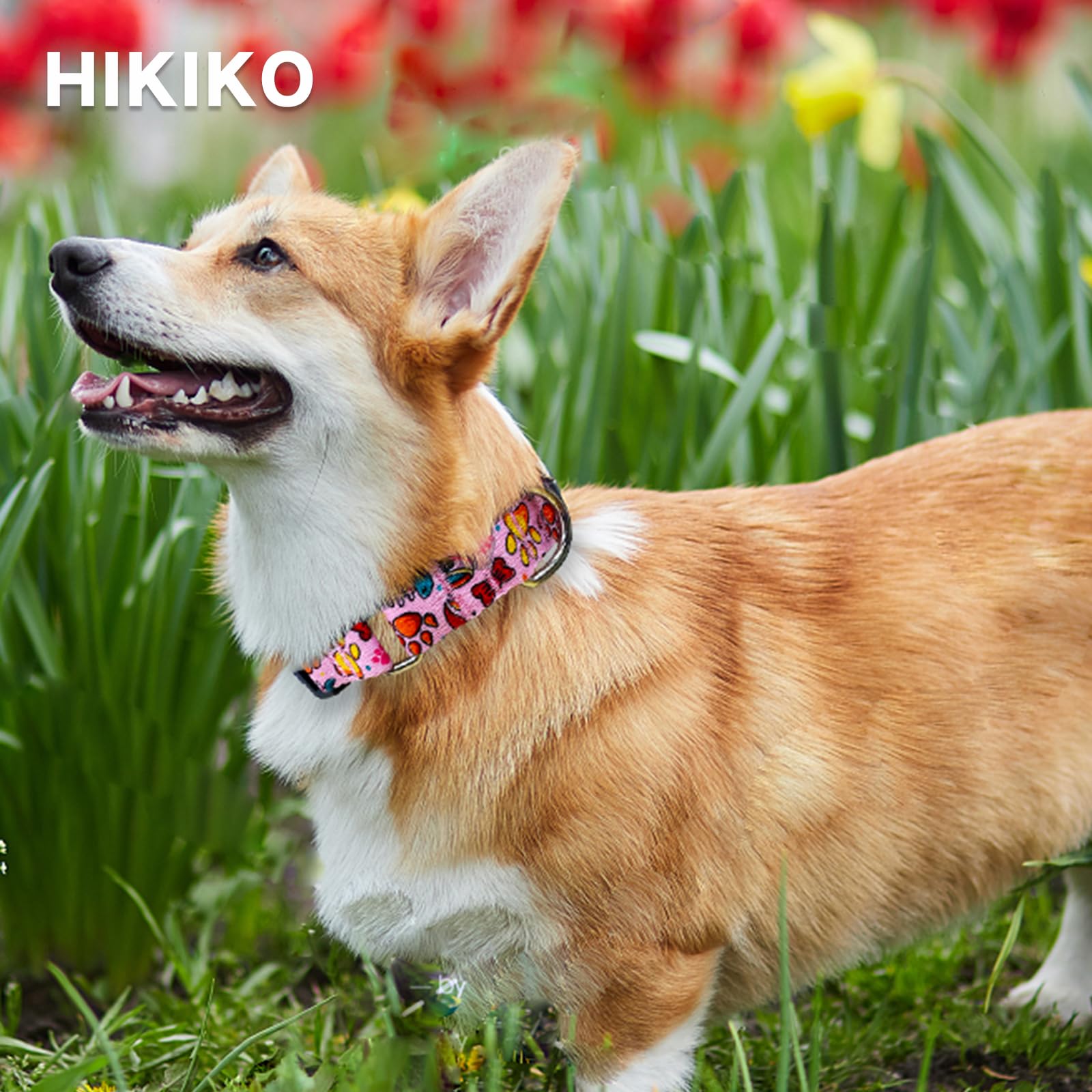 Hikiko Martingale Collar For Dogs Cute Girl Pink Dog Collars With Anti Pulling Dog Collar For Small Medium Large Dog(Pink Bowl,L