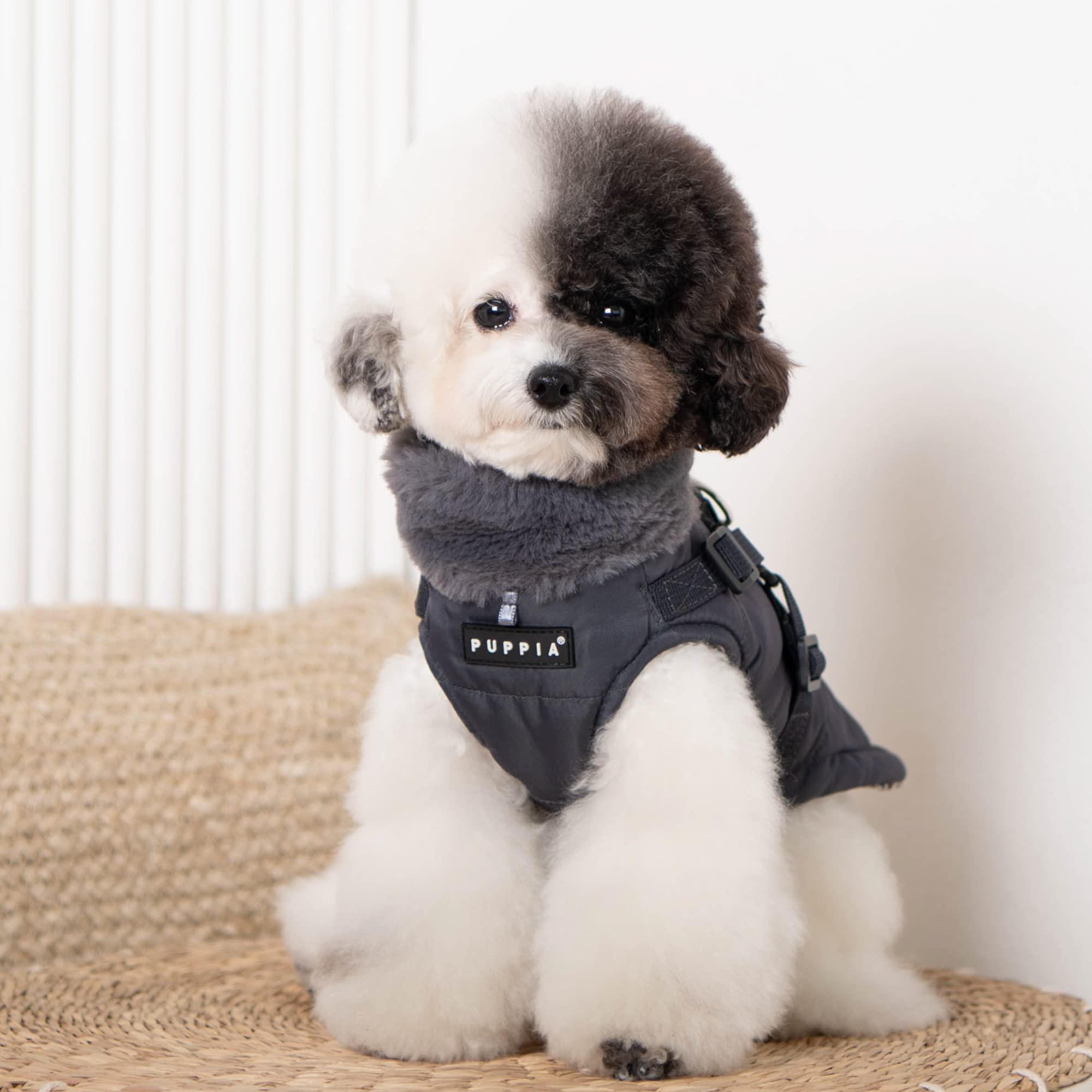 Puppia Donavan Winter Dog Coat With Integrated Harness No Pull Cold Weather Waterproof Warm Fleece Back Zipper For Small & Medium Dog, Grey, Medium