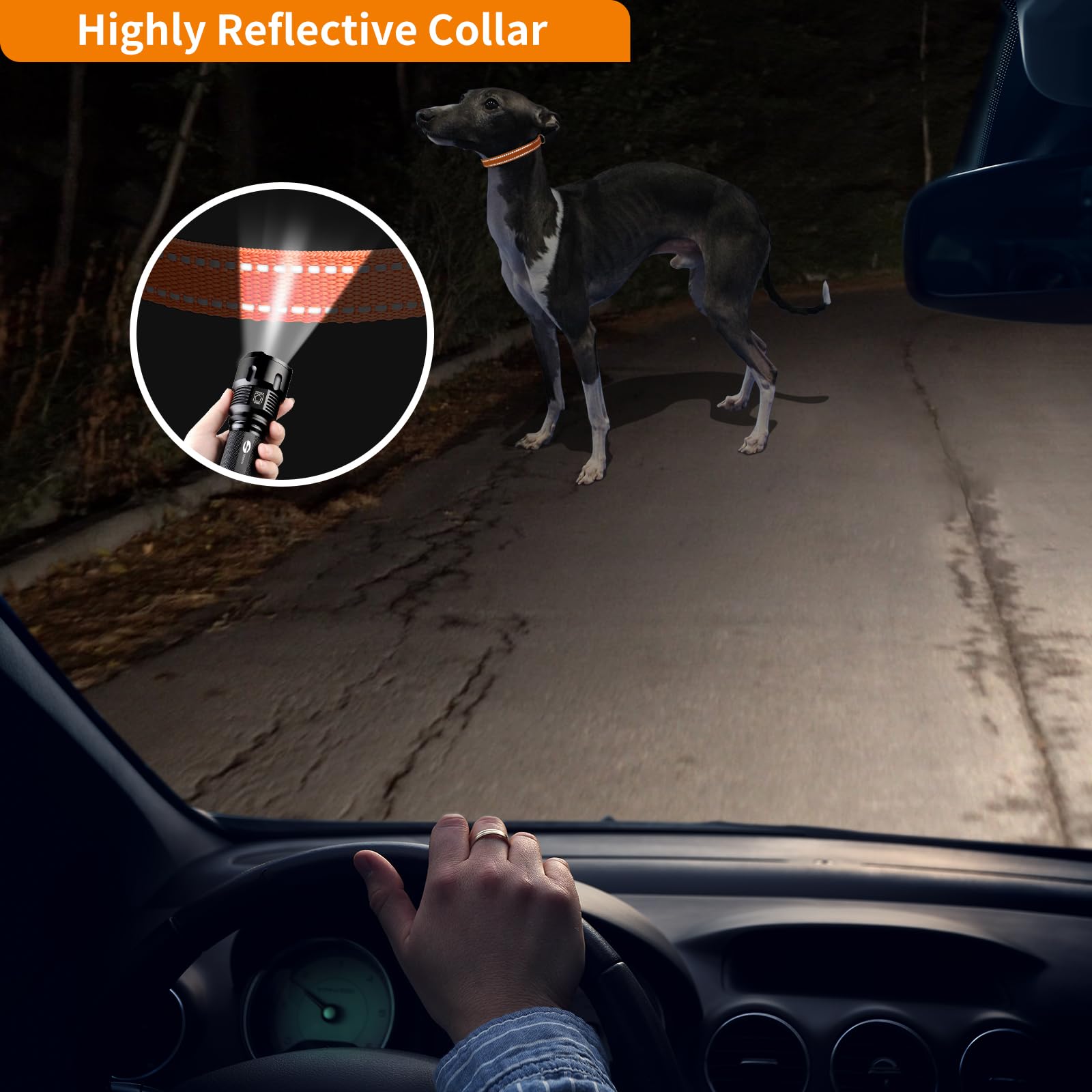 Paipaitek Replacement Training Shock Collar Compatible With E Collar Strap, 3/4 Inch Adjustable Reflective Dog Collar With Metal