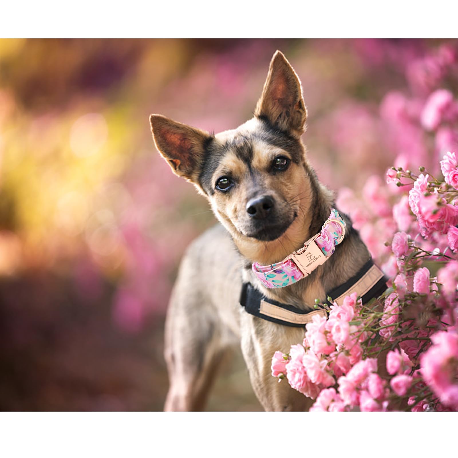 Lionheart Glory Floral Rose Print Dog Collar Cute Dog Collars Spring Adjustable Soft Dog Collar Girl Pet Collars For X-Small Sma