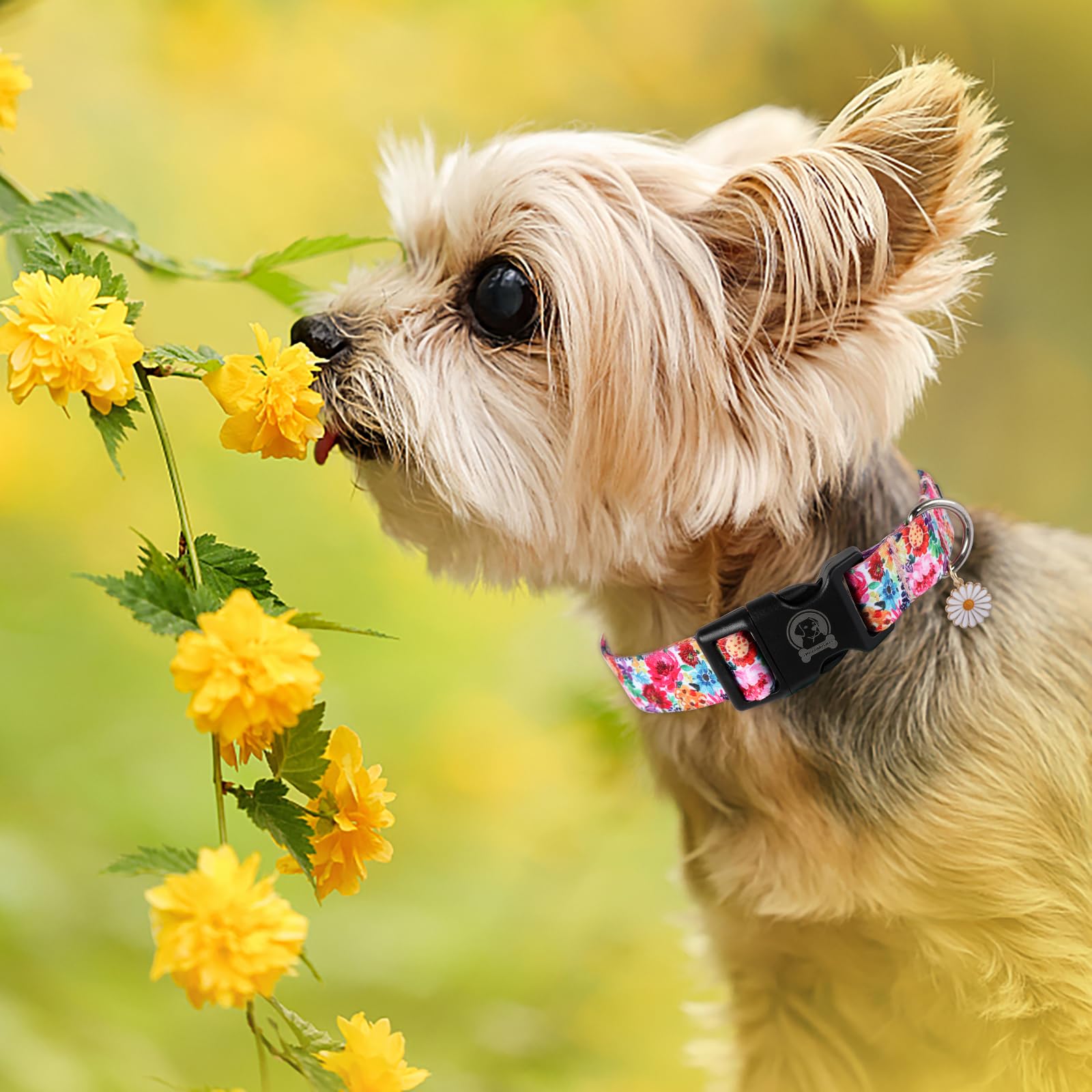 Mr. Chubbyface Spring Summer Dog Collar Floral Soft Adjustable Pet Boy Girl Collar For Small Medium Large Dogs