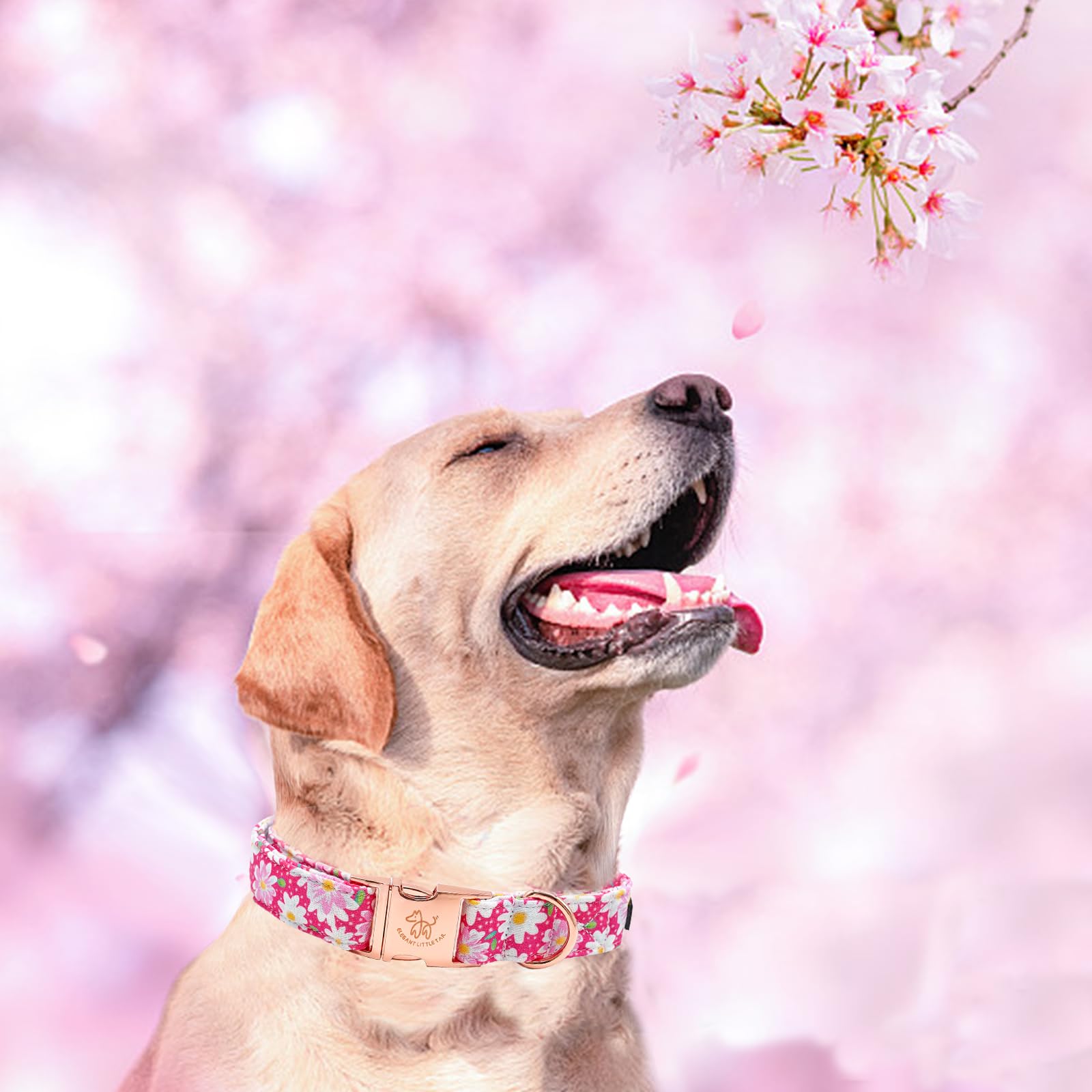 Elegant Little Tail Dog Collar, Pink Floral Pattern Pet Collar Durable Cute Dog Collars Summer Female Pet Gift Adjustable Dog Co