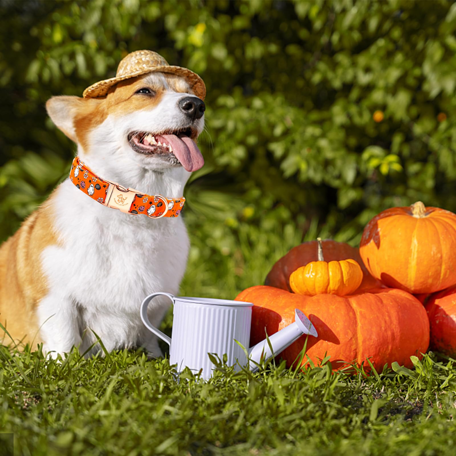 Elegant Little Tail Pumpkin Print Cotton Dog Collar - Adjustable With Metal Buckle For X-Small Puppy