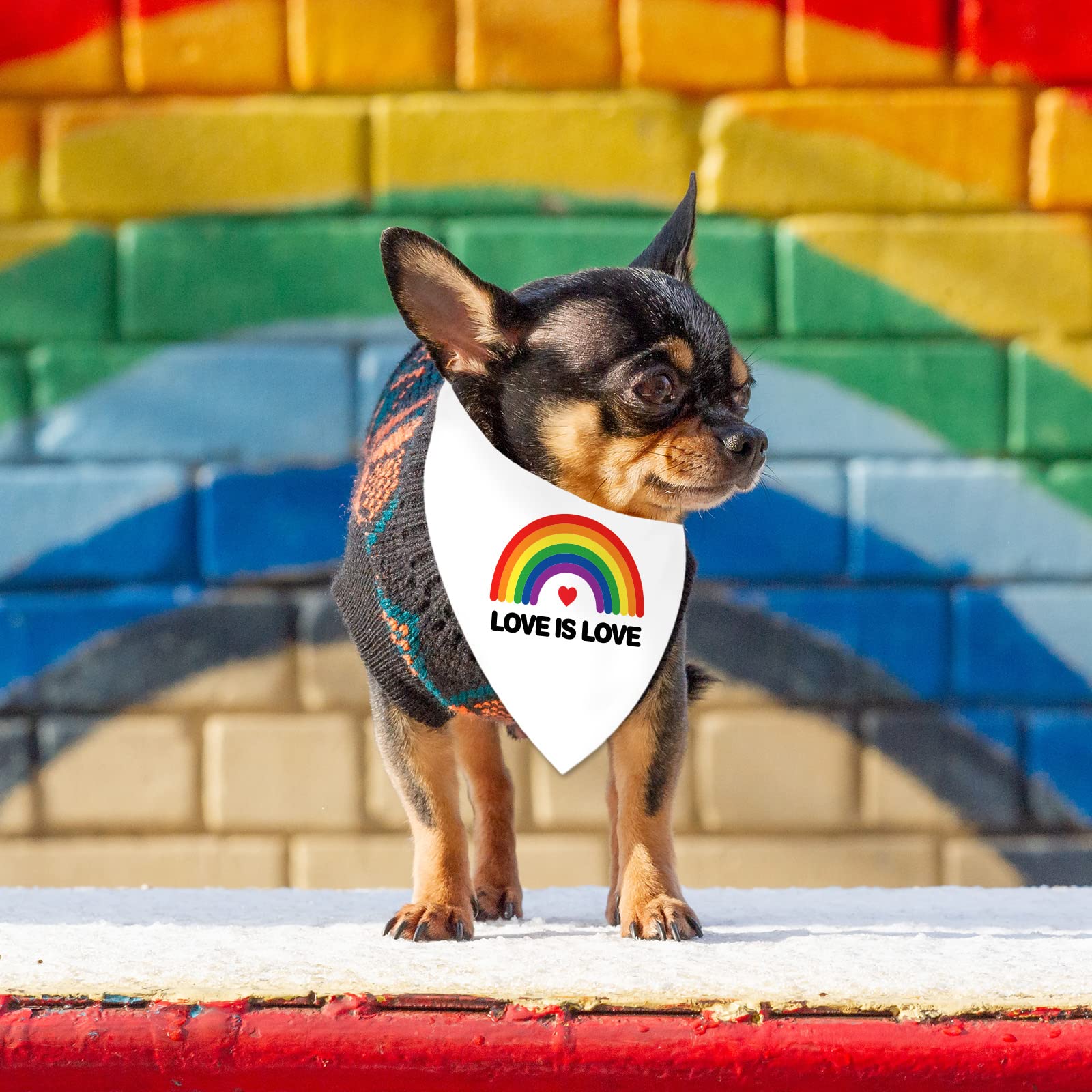 Whaline 6 Pack Gay Pride Day Dog Bandanas Rainbow Human Love Is Love Triangle Bibs Dog Paw Adjustable Pet Kerchief Scarf Washabl