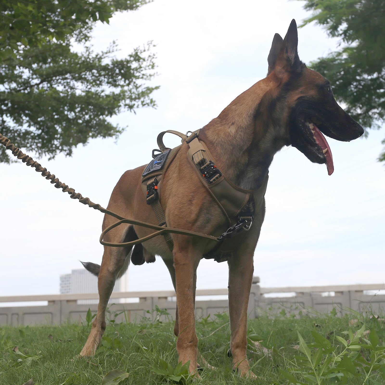 Icefang Gn8 Quick-Moving Tactical Dog Harness With Handle ,Reflective Pet Vest,No-Pull Front Lead ,5-Points Adjustable,Hook And Loop Panel For Patch (Large (Pack Of 1), Elite Brown)