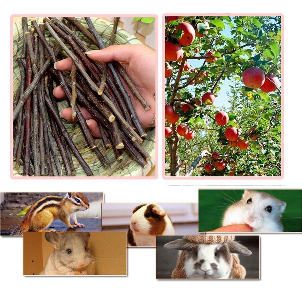 Sharllen 300G(10.5Oz) Apple Sticks (About 90 Sticks) Pet Chew Toys For Rabbits Chinchilla Guinea Pigs By