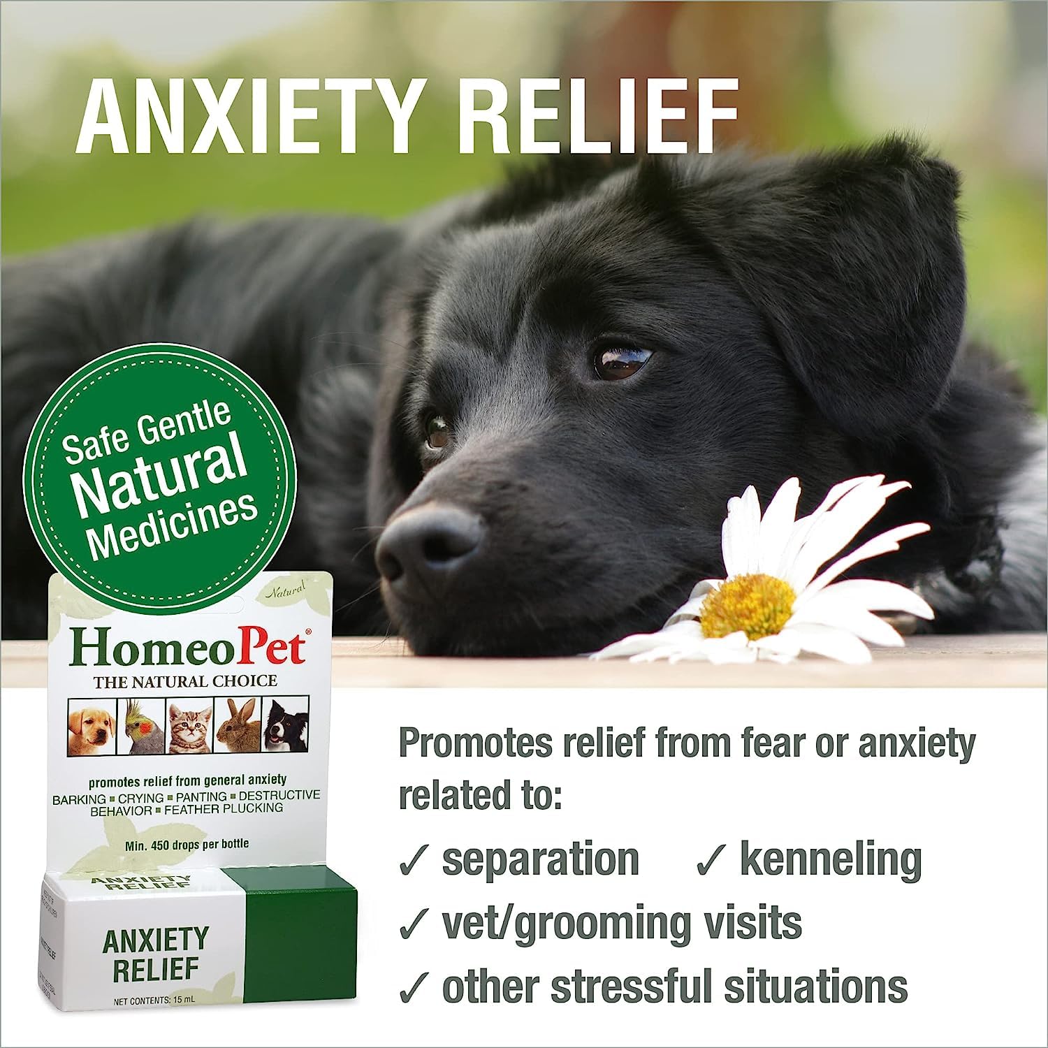Dog Homeopet Anxiety Relief