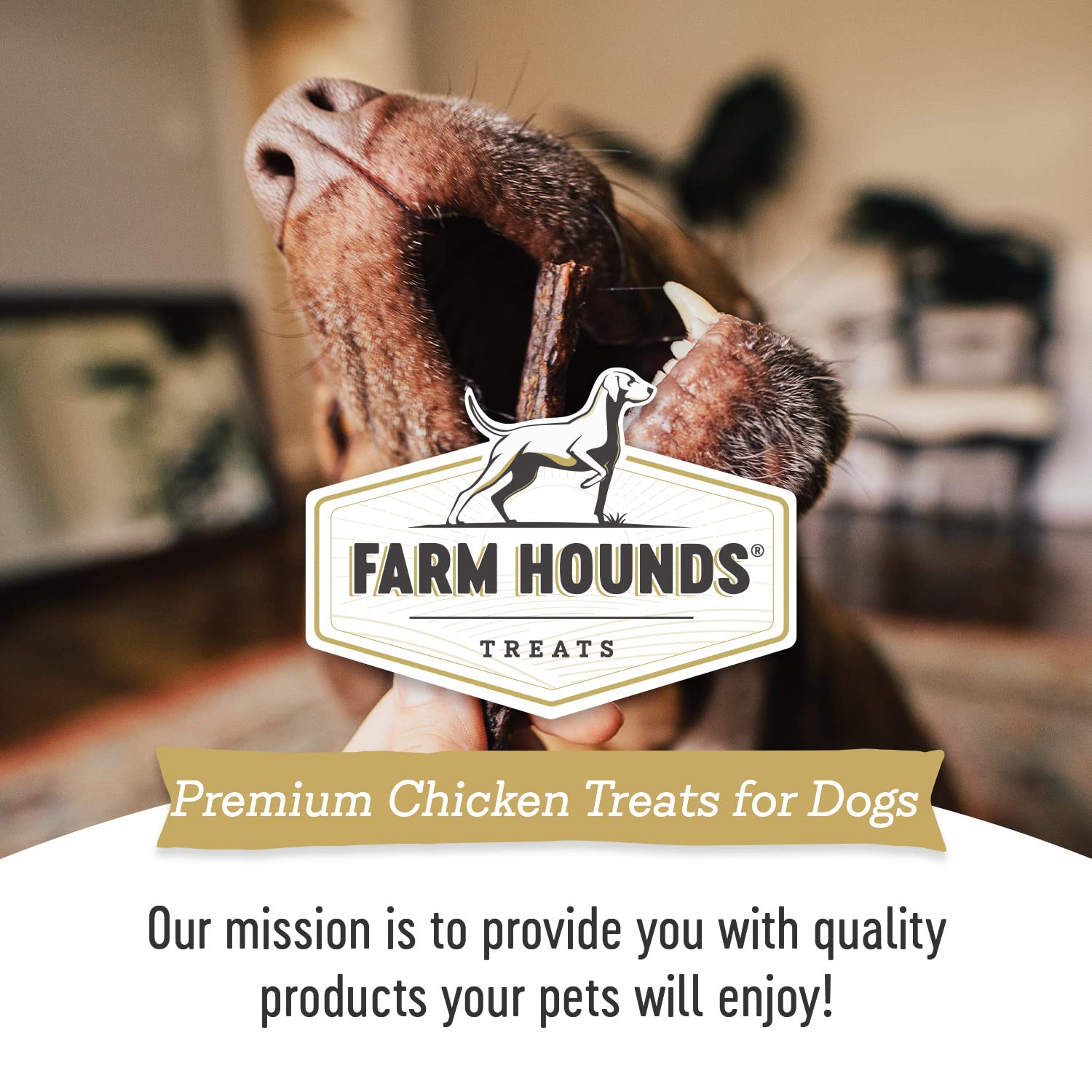 Farm Hounds - Chicken Gizzards - Premium Natural Jerky for Dogs -100% Humanely Raised Chicken - Break-to-Size - Great for Traini