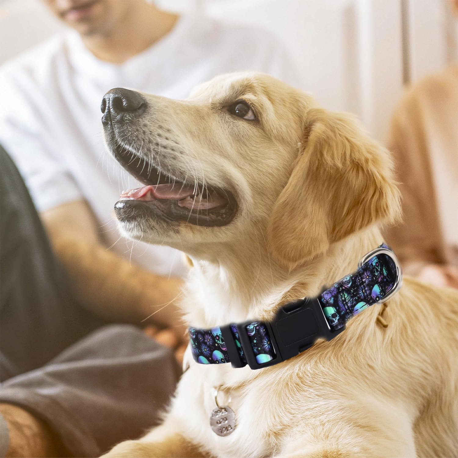 Skull Dog Collars For Xl Dogs,Adjustable Comfy Soft Durable Male Collar For Small Medium Large Extra Large Boy Dogs(Skull Xl)