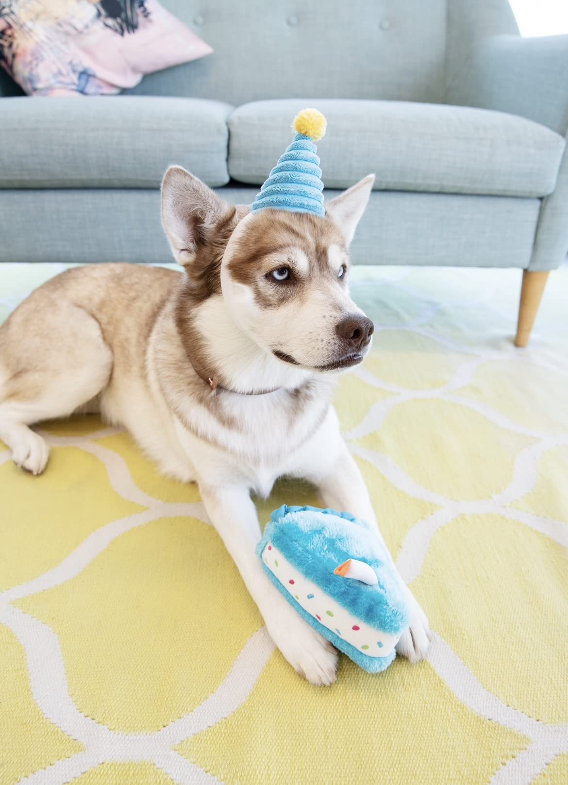 Zippypaws Birthday Gifts For Dogs - Blue Birthday Cake Slice, Plush Squeaky Dog Toy, Dog Birthday Party Supplies For Boys & Girls