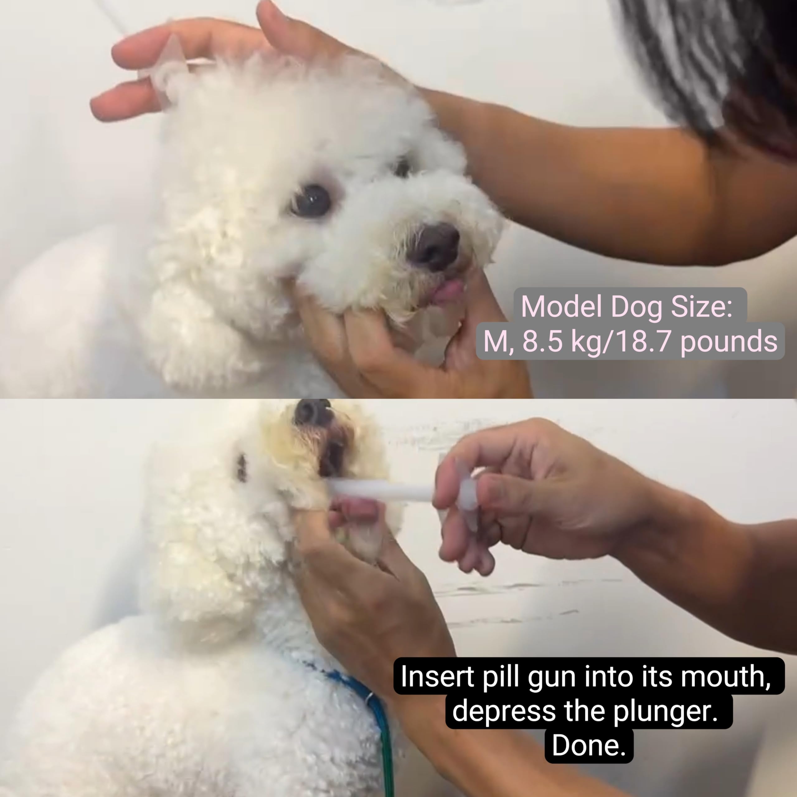 DS. DISTINCTIVE STYLE Dog Pill Shooter 2 Pieces Pet Piller Pill Dispenser for Large Dogs Handy Pill Gun for Medium to Large Bree